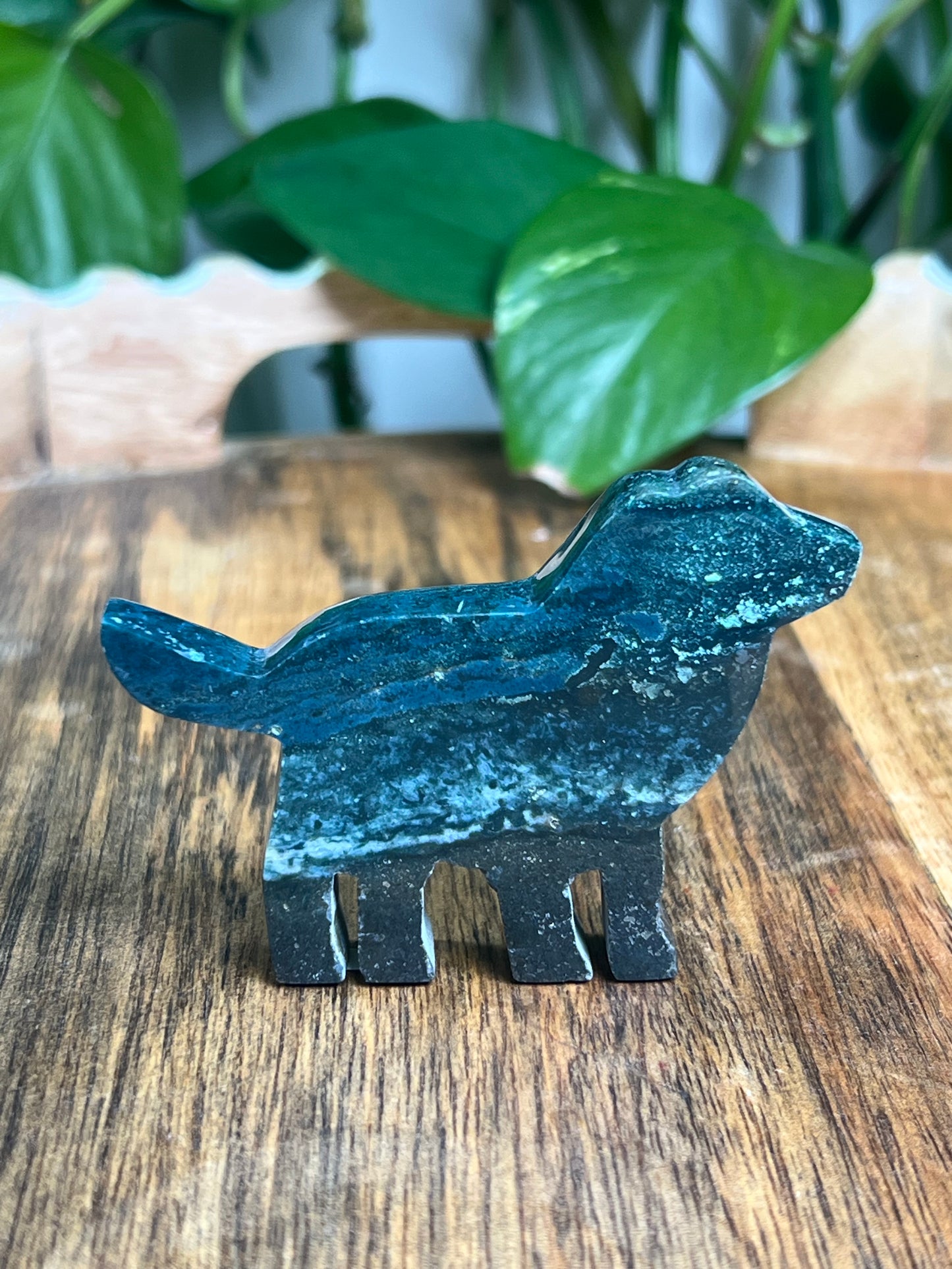 Blue Green Jasper Dog: BB