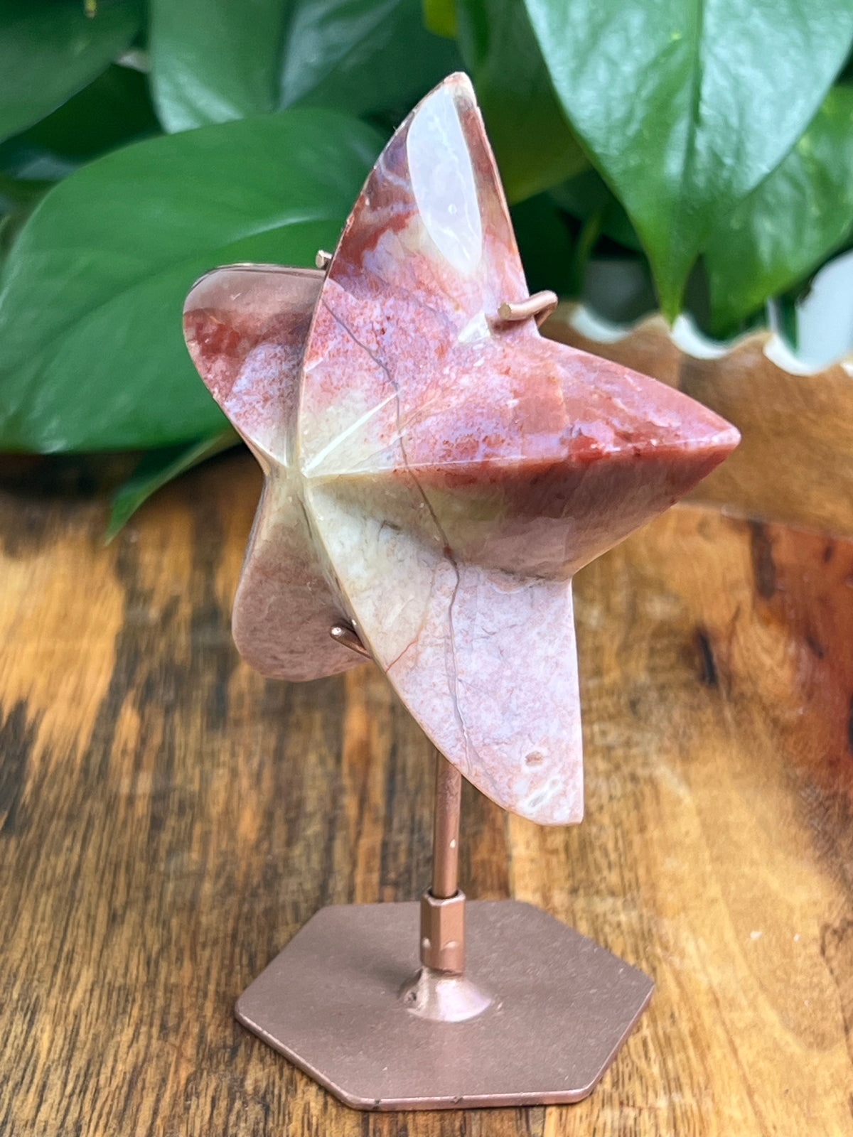 River Jasper Star: Bi