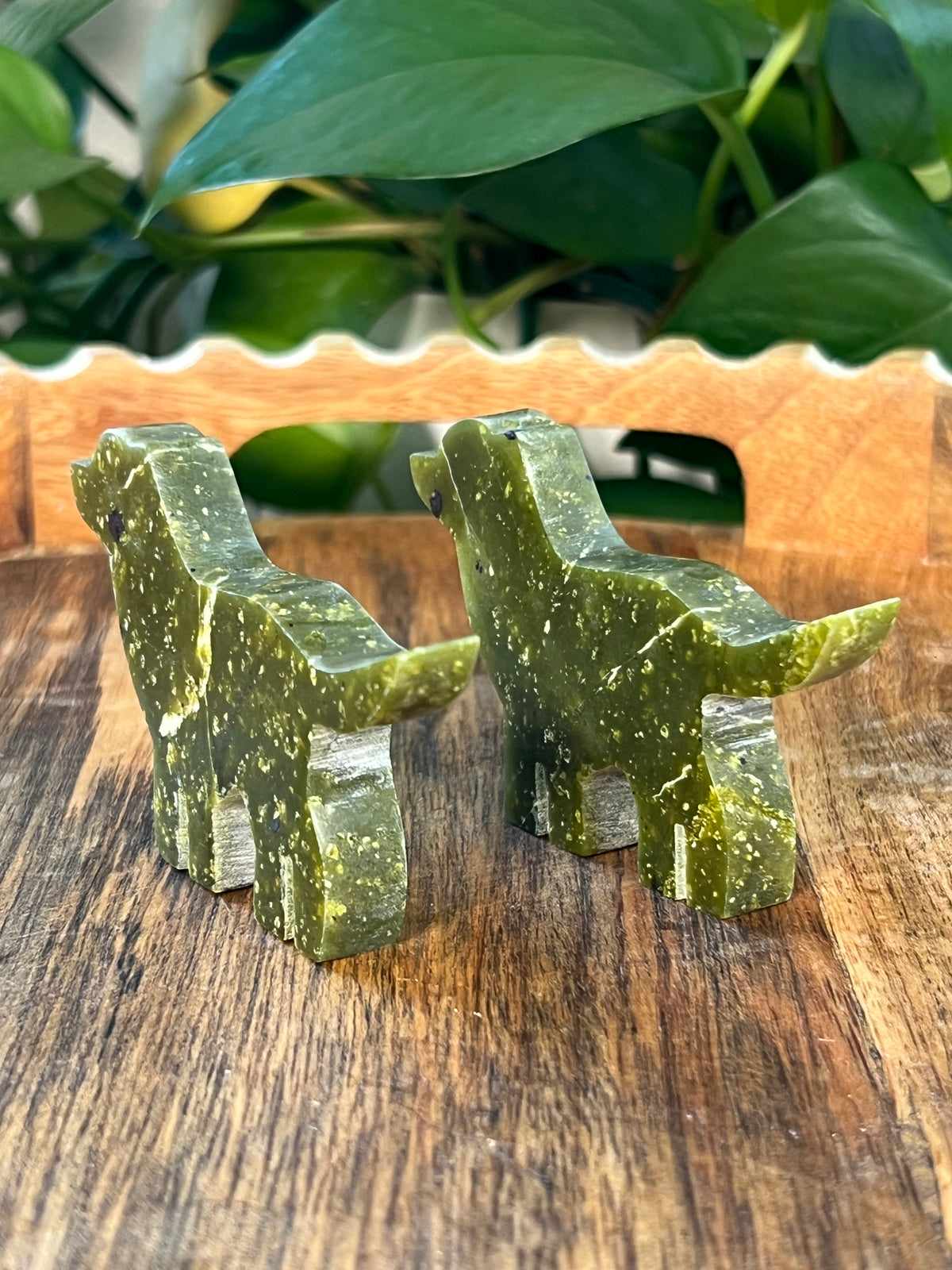 Idocrase Dogs