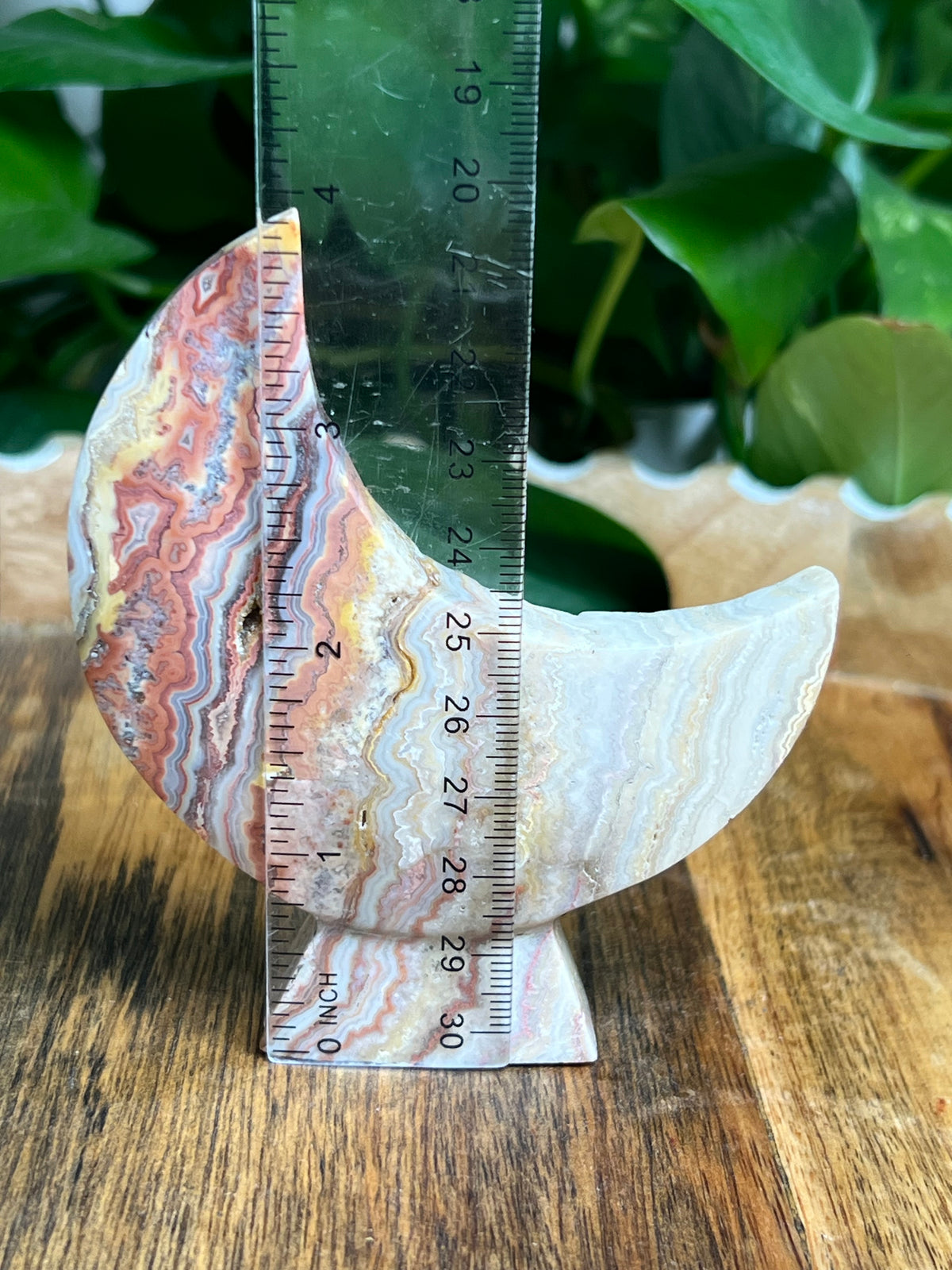 Crazy Lace Agate Self Standing Moon: NX
