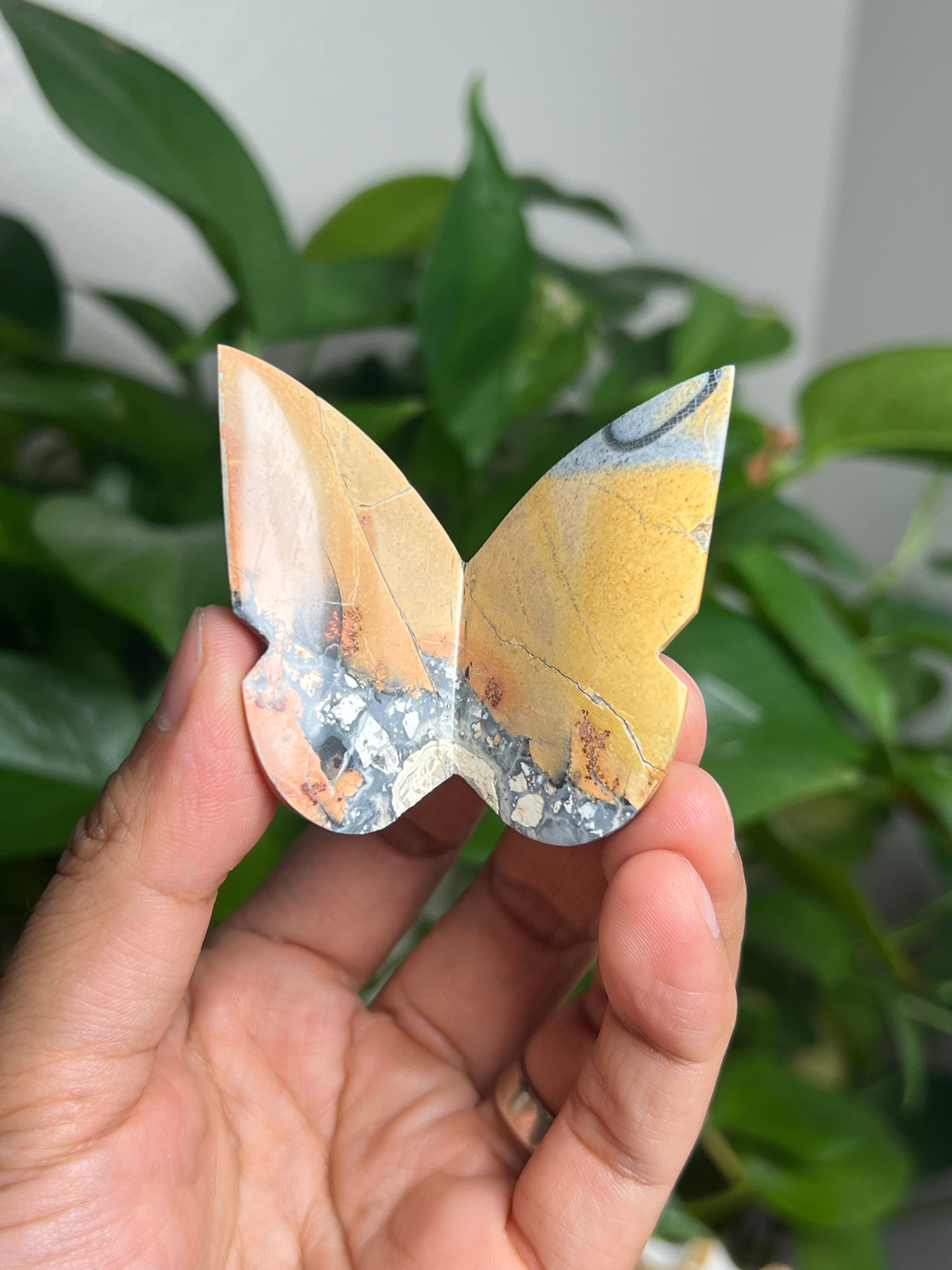 Maligano 3D Butterfly: BC