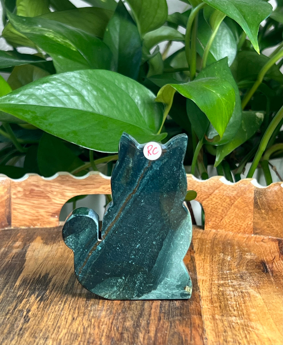 Blue Green Jasper Cats