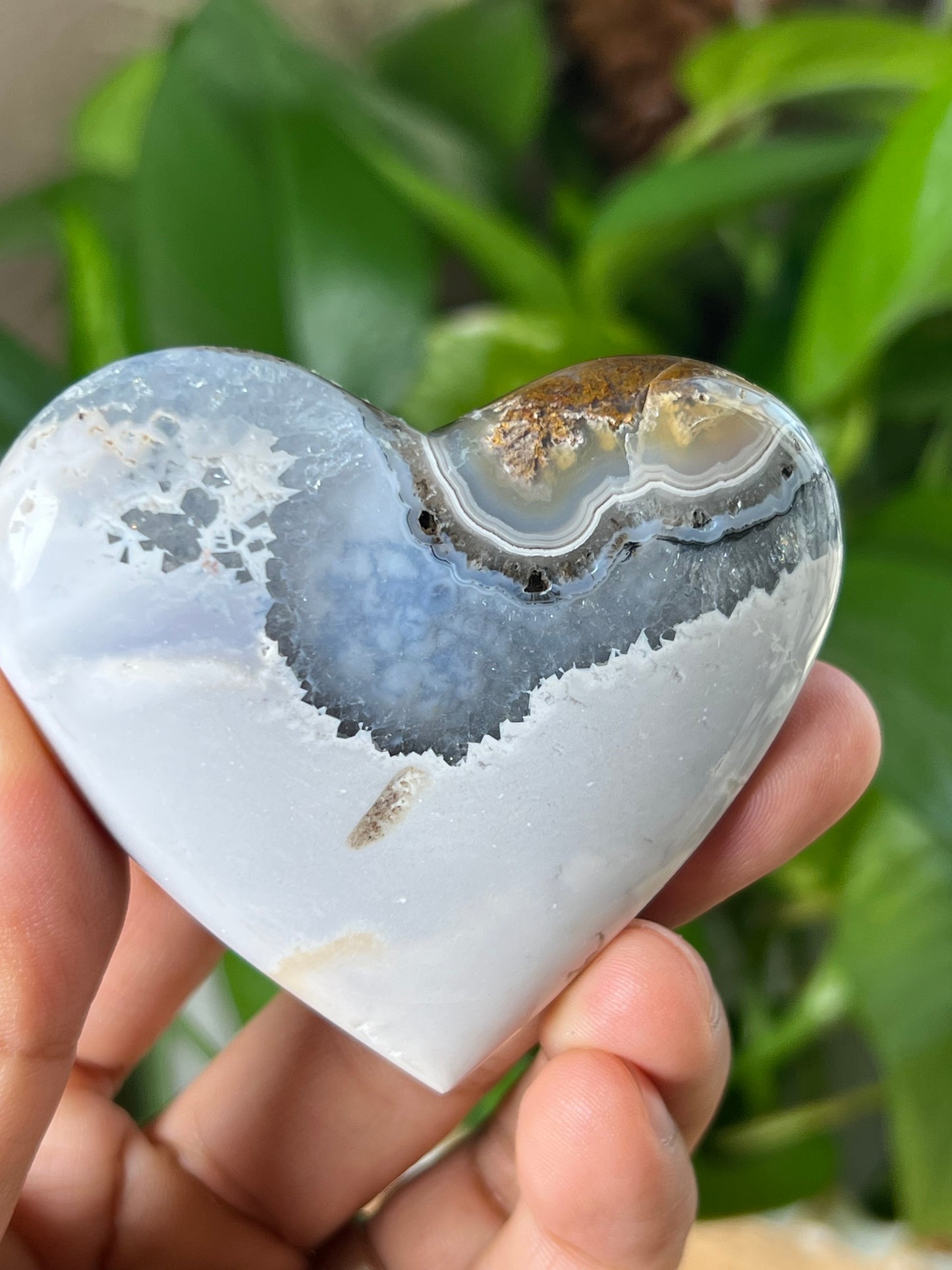 Scenic Moss Agate Palmstone