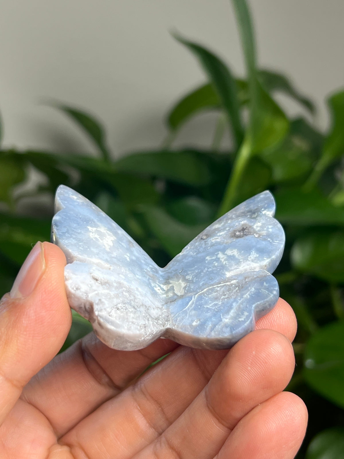 Blue Plume Agate 3D Butterfly: D