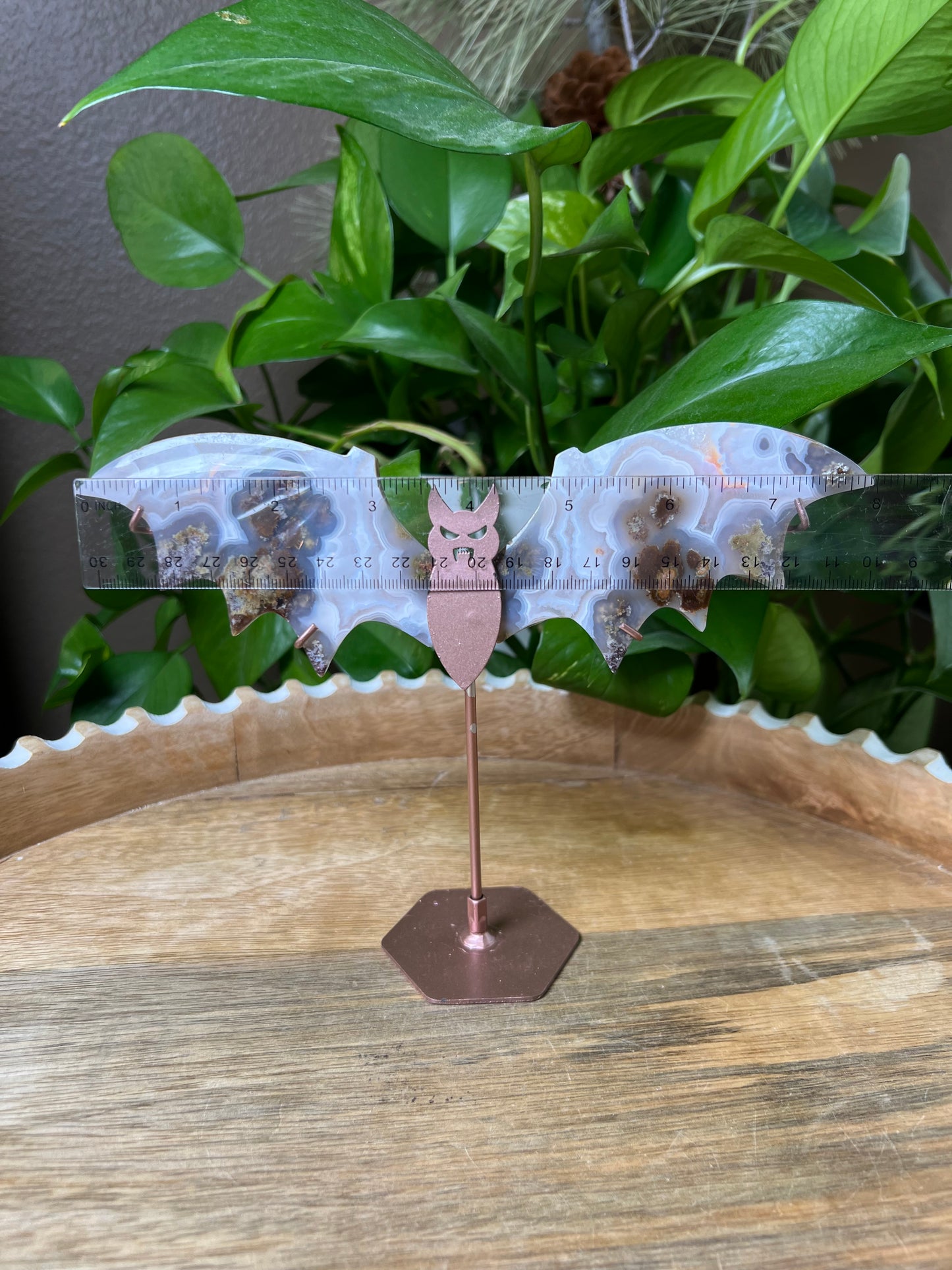 Scenic Moss Agate Bat Wings: RI