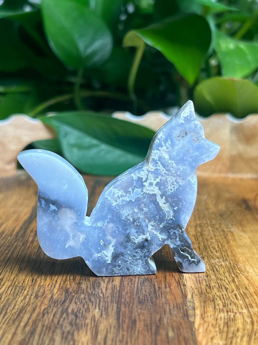 Blue Plume Agate Fox: BB
