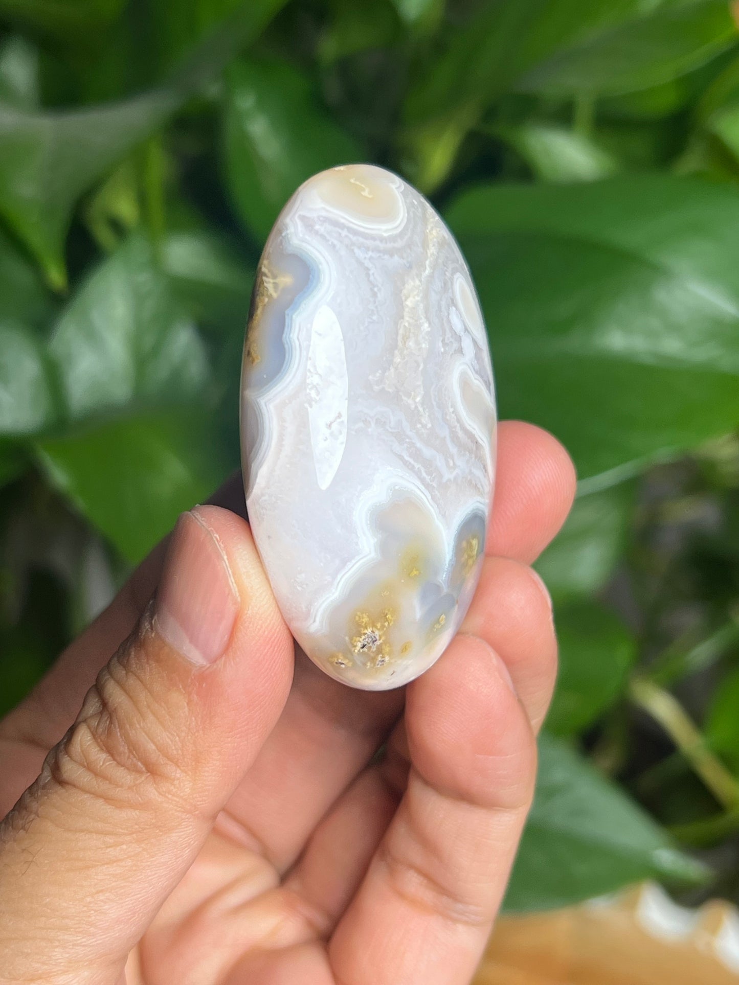 Scenic Moss Agate Palmstone: BX
