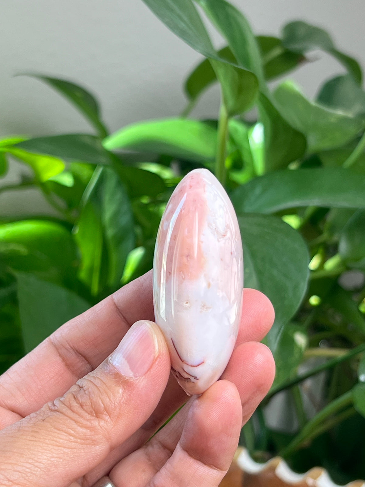 Pink Carnelian Palmstone: BJ