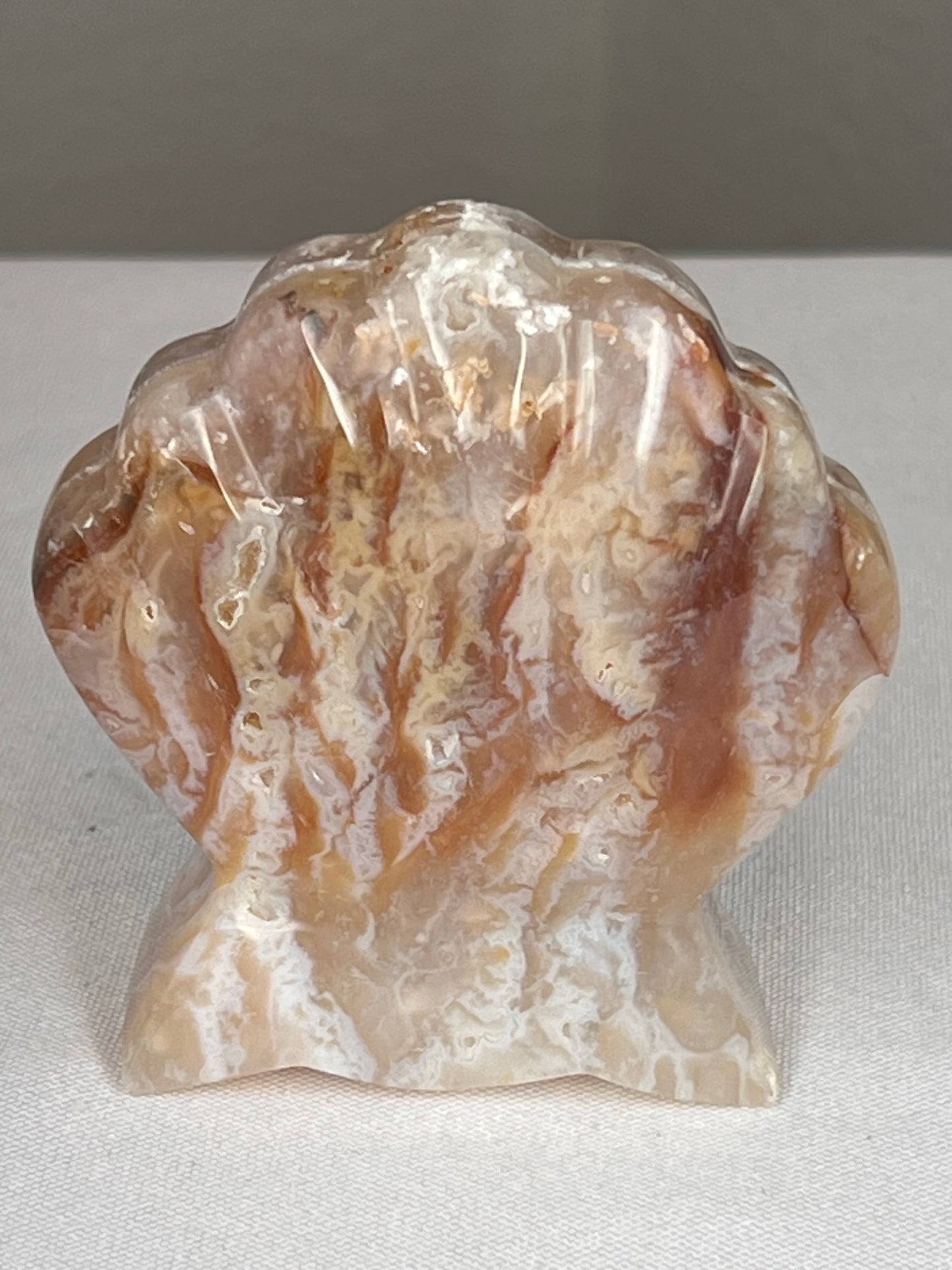 Rainbow Plume Agate Shell