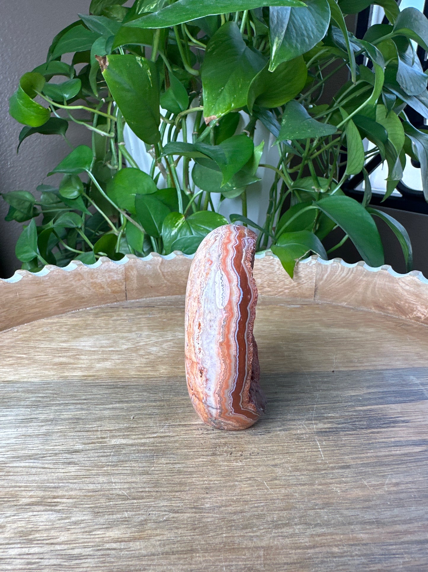 Crazy Lace Agate Freeform