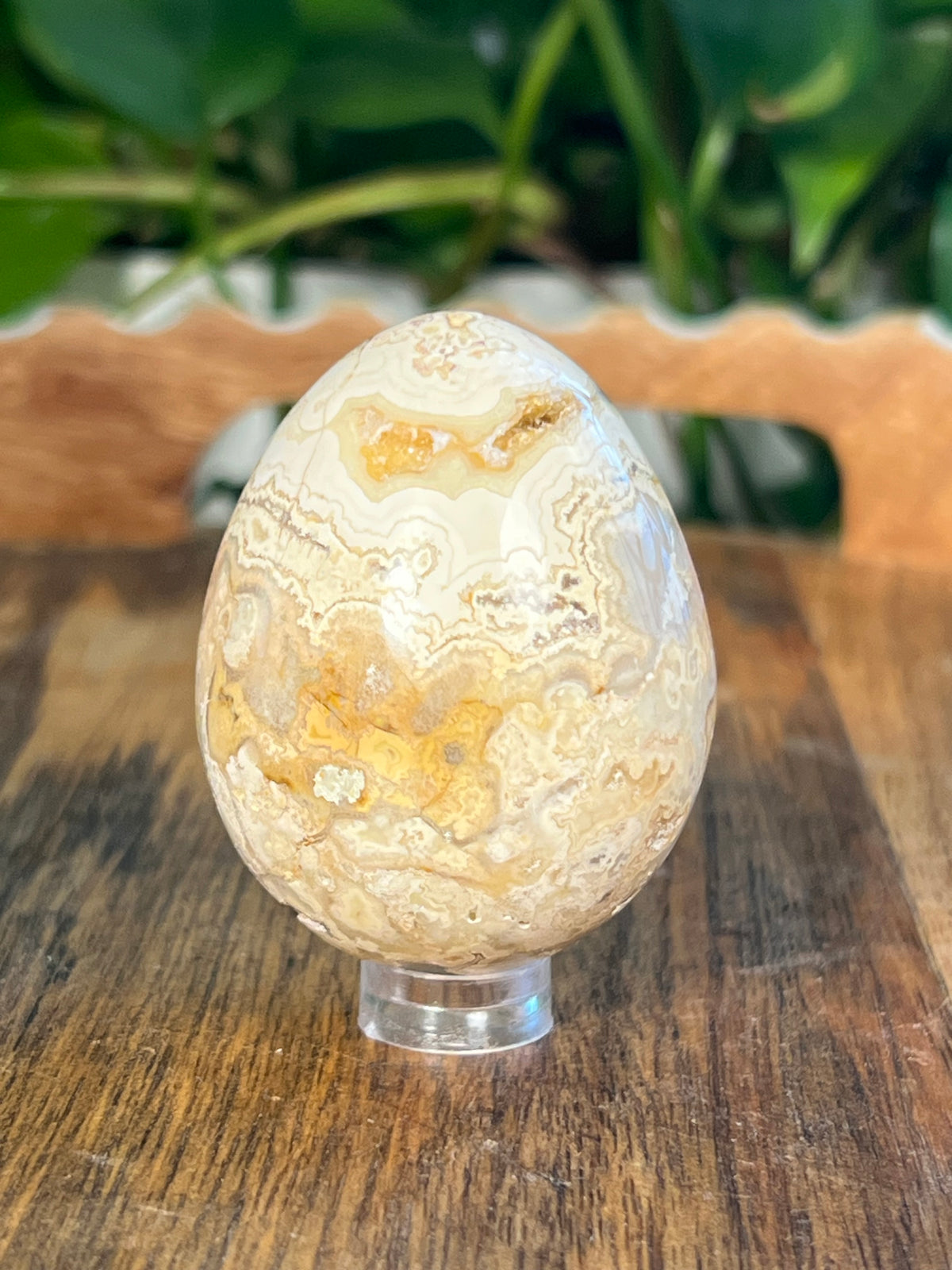 Crazy Lace Agate Egg: SA