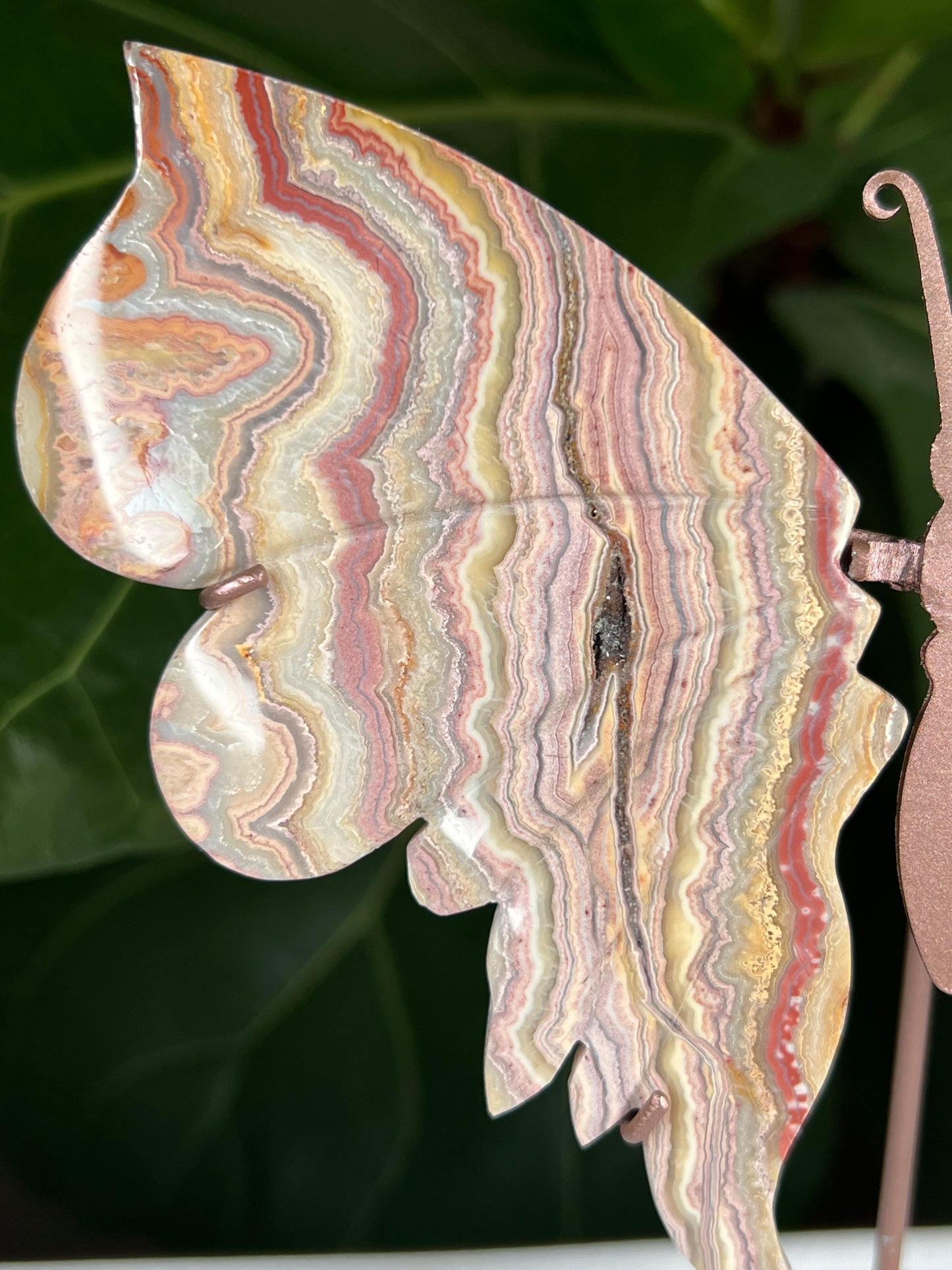 Crazy Lace Agate Wings