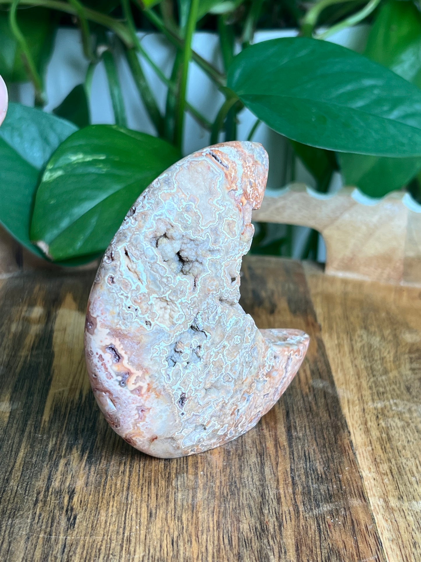 Crazy Lace Agate Self-Standing Moon: MC
