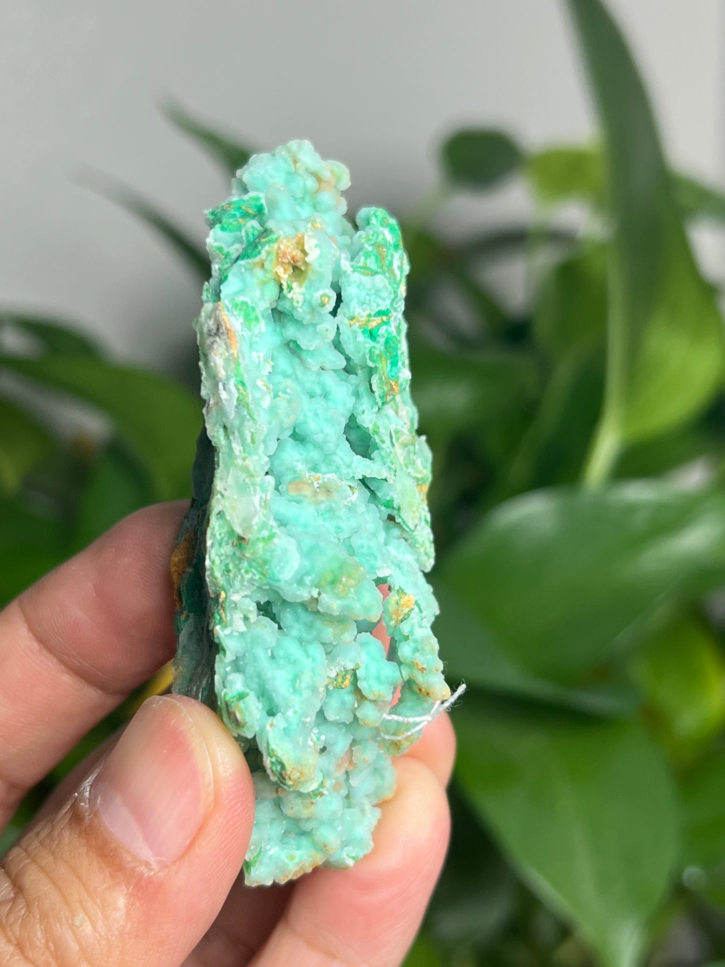 Smithsonite Specimen HU