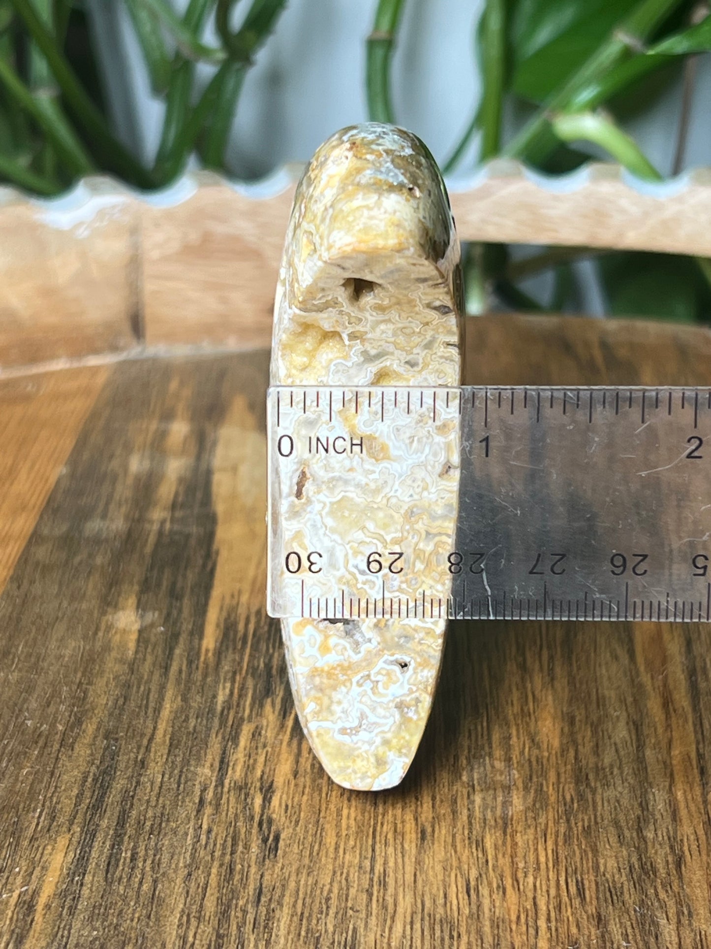 Yellow Crazy Lace Agate Moon