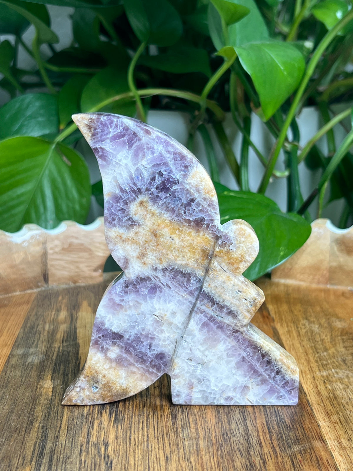 Indonesian Amethyst Fairy: LA