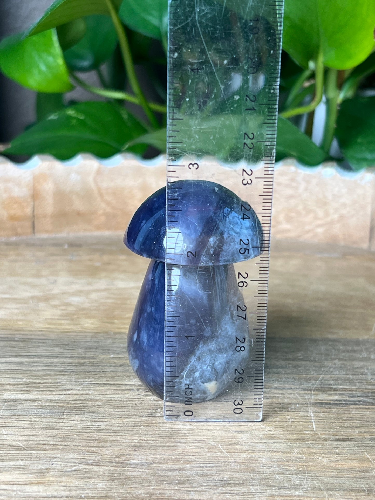 Purple Chalcedony Mushroom: BI