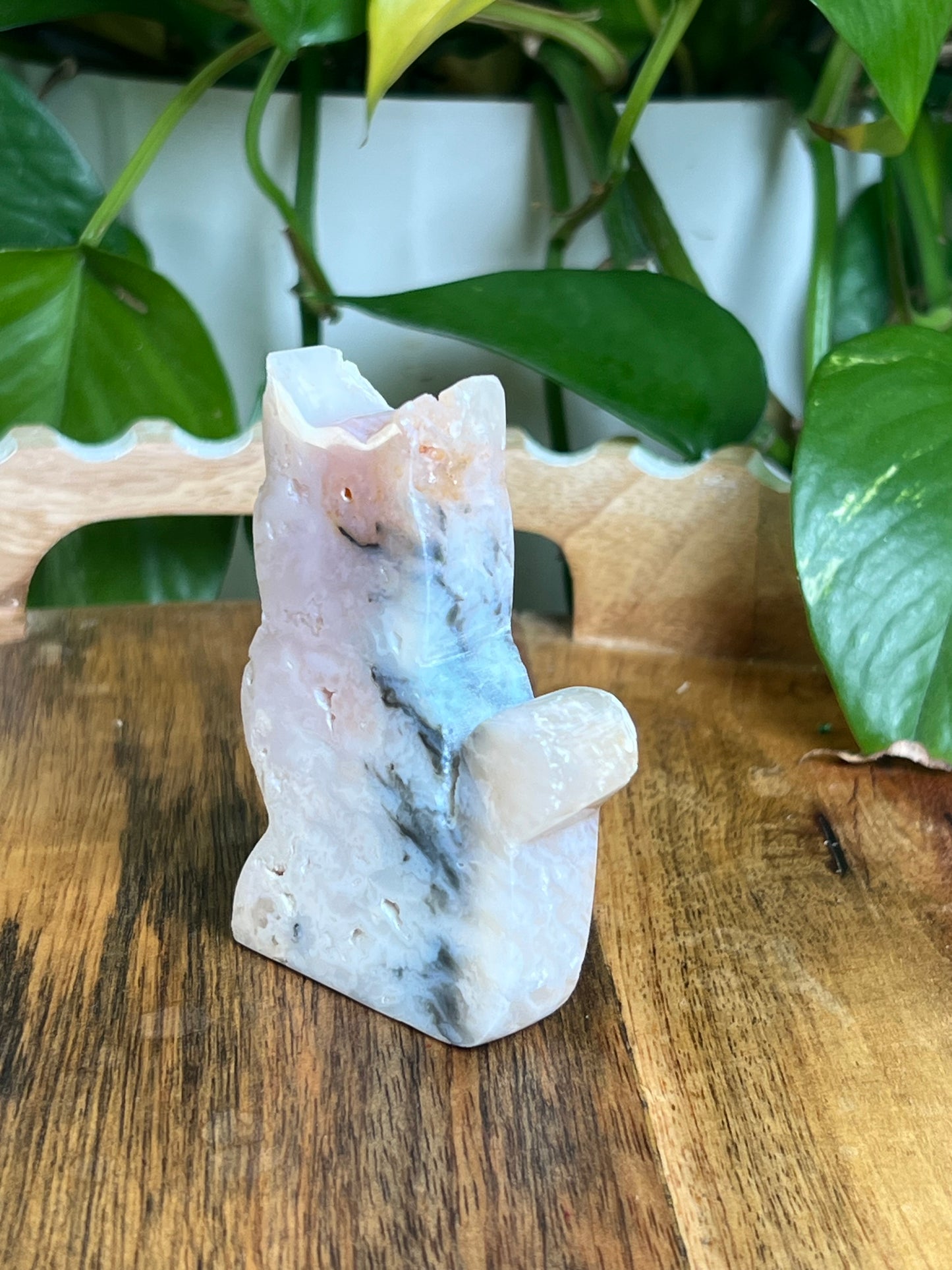 Rainbow Plume Agate Cat NQ