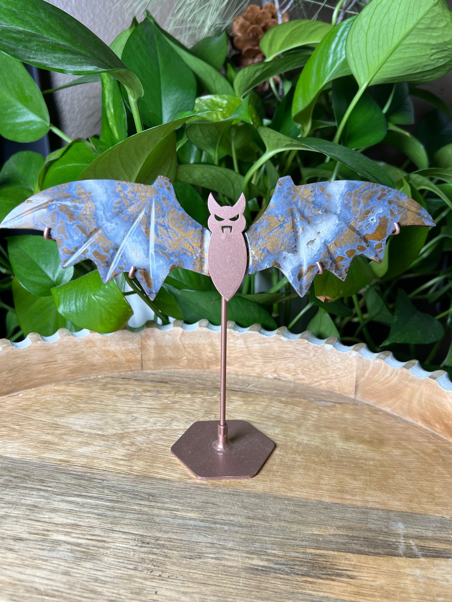 Brecciated Jasper Bat Wings