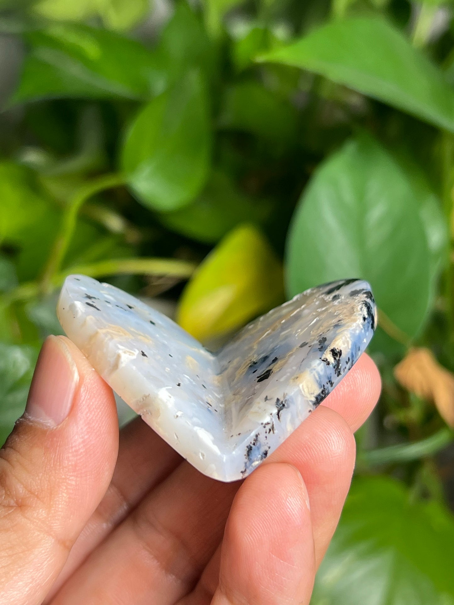 Dendritic Tiger Agate 3D Butterfly HB