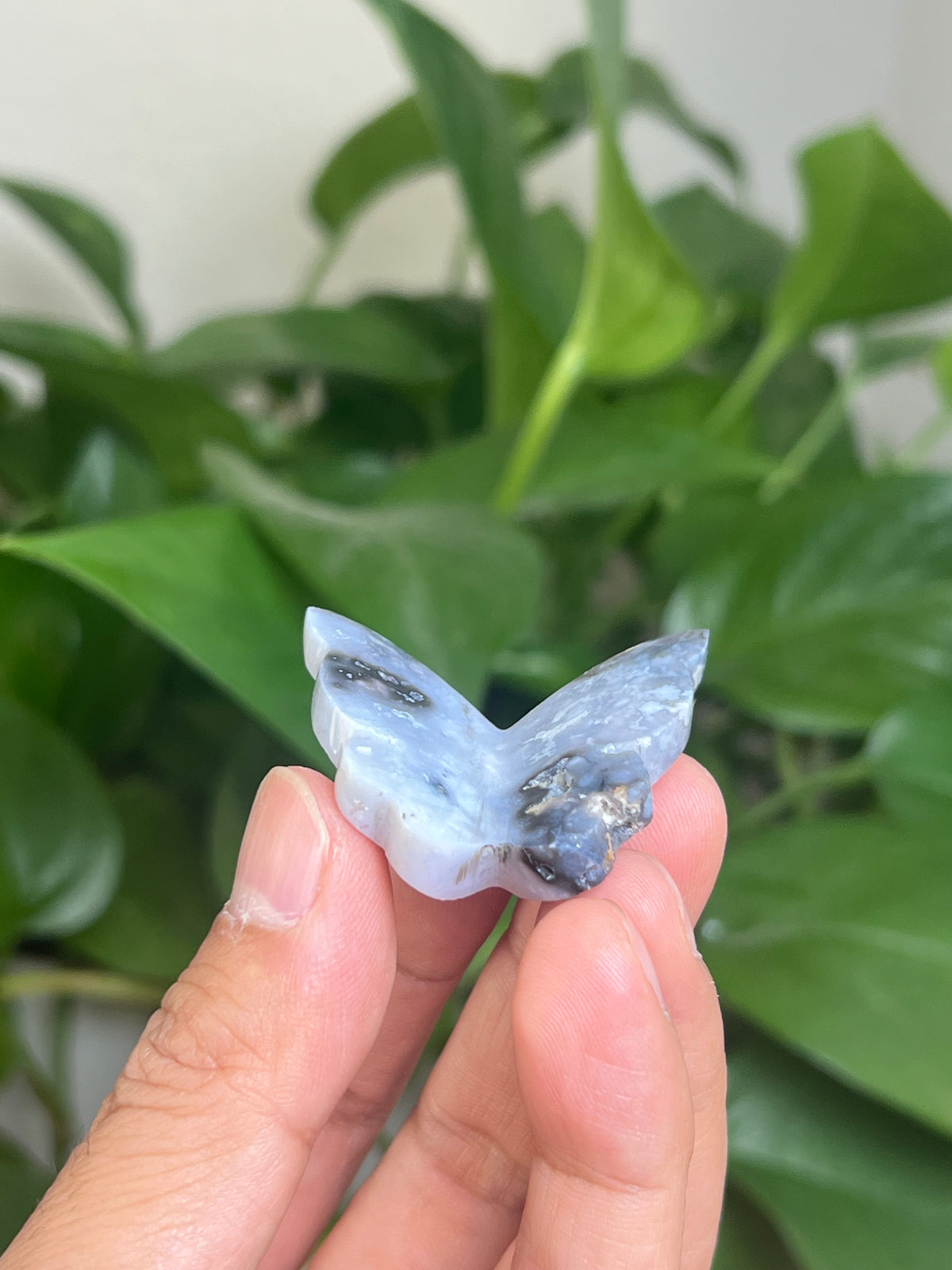 Blue Plume Agate Mini 3D Butterfly: AN