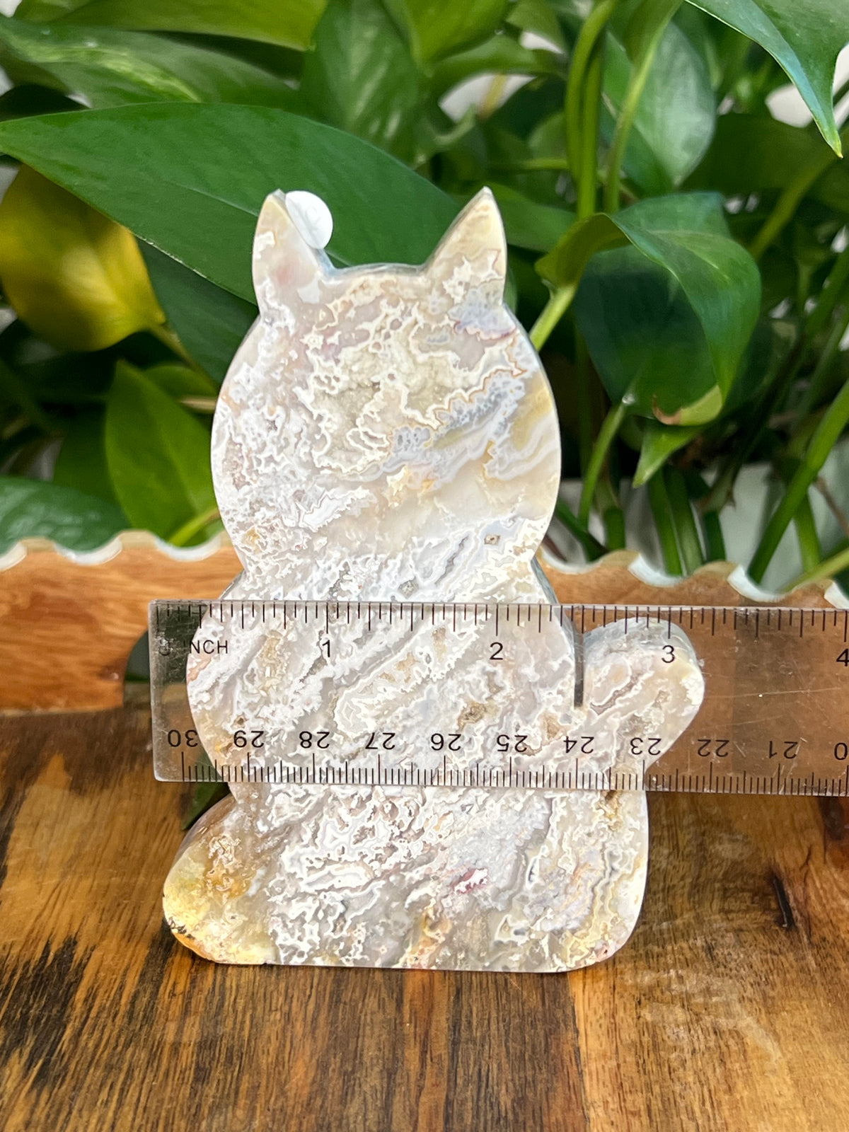 Sumatra Plume Agate Cats