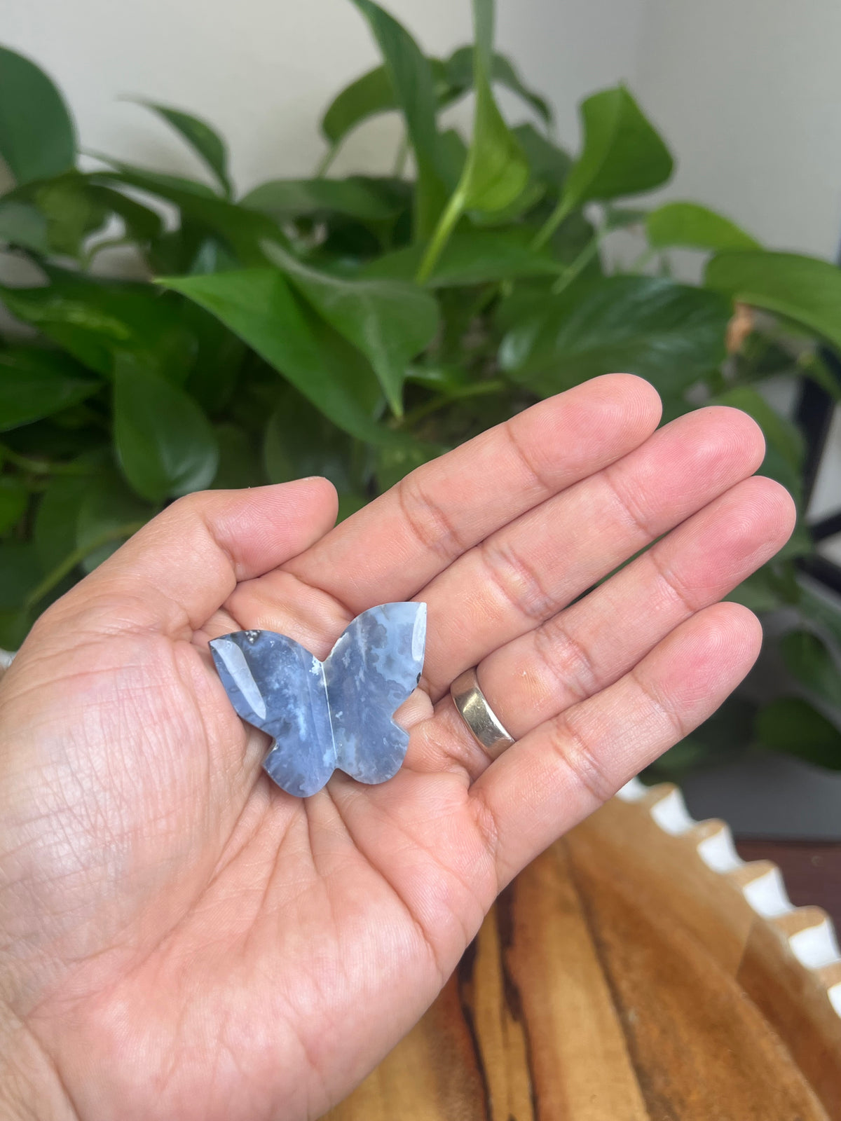 Blue Plume Agate 3D Butterfly: AW