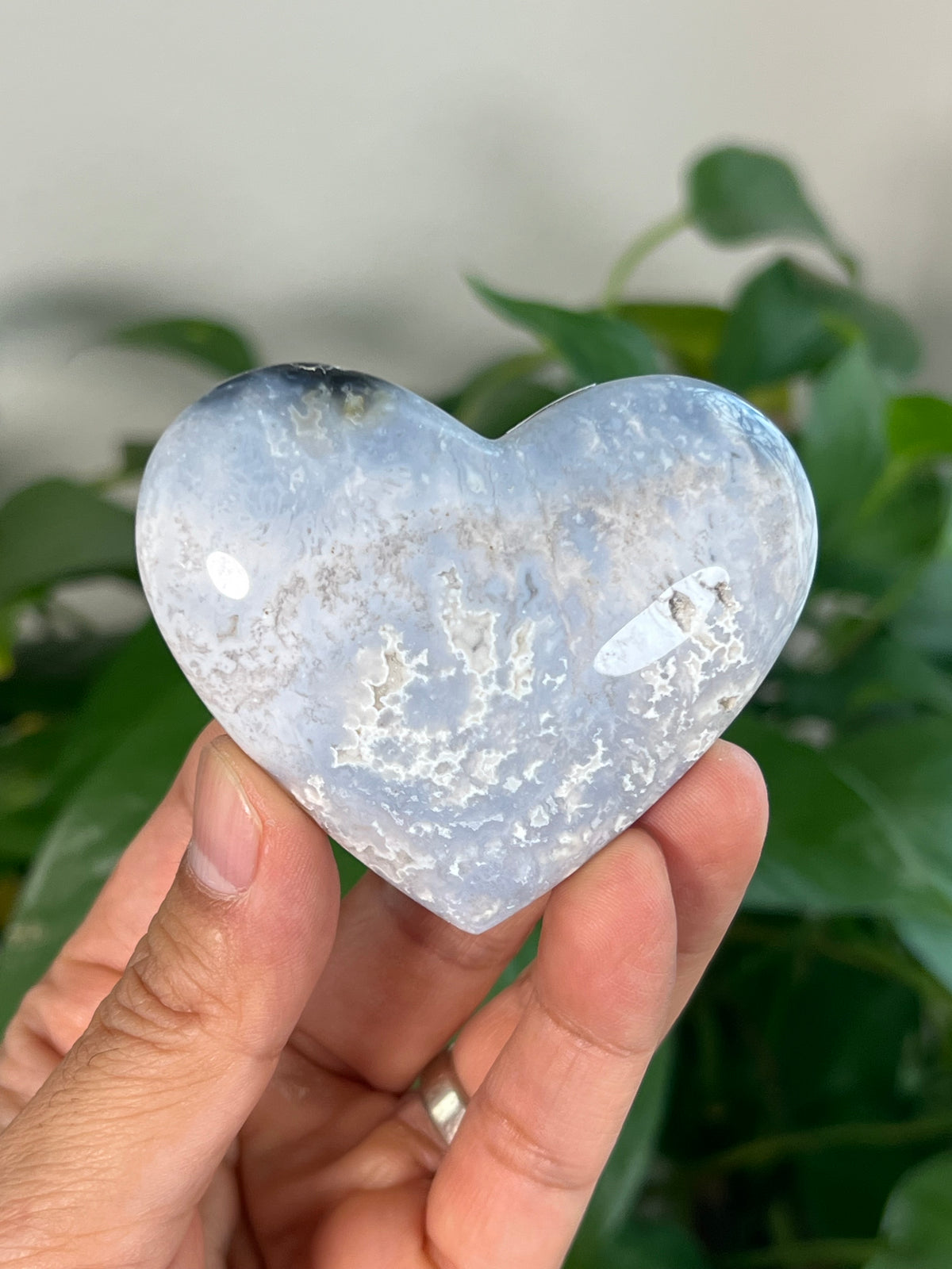Blue Plume Agate Small Hearts