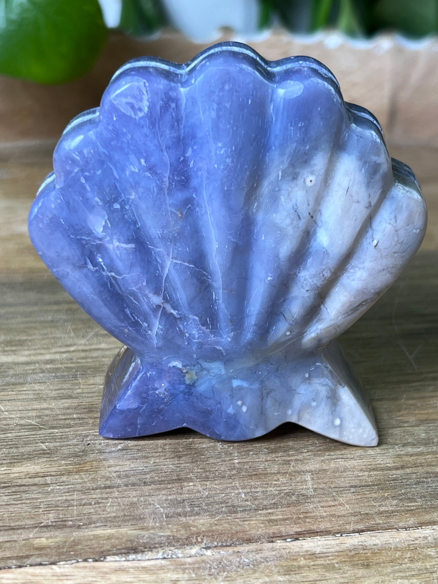 Purple Chalcedony Shell