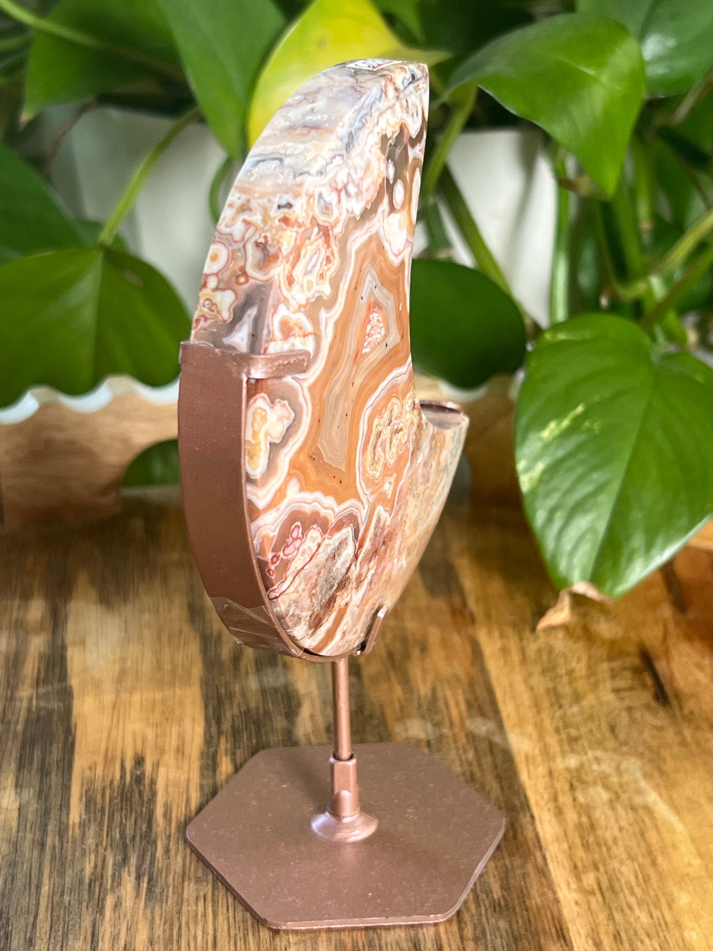 Crazy Lace Agate Moon PA
