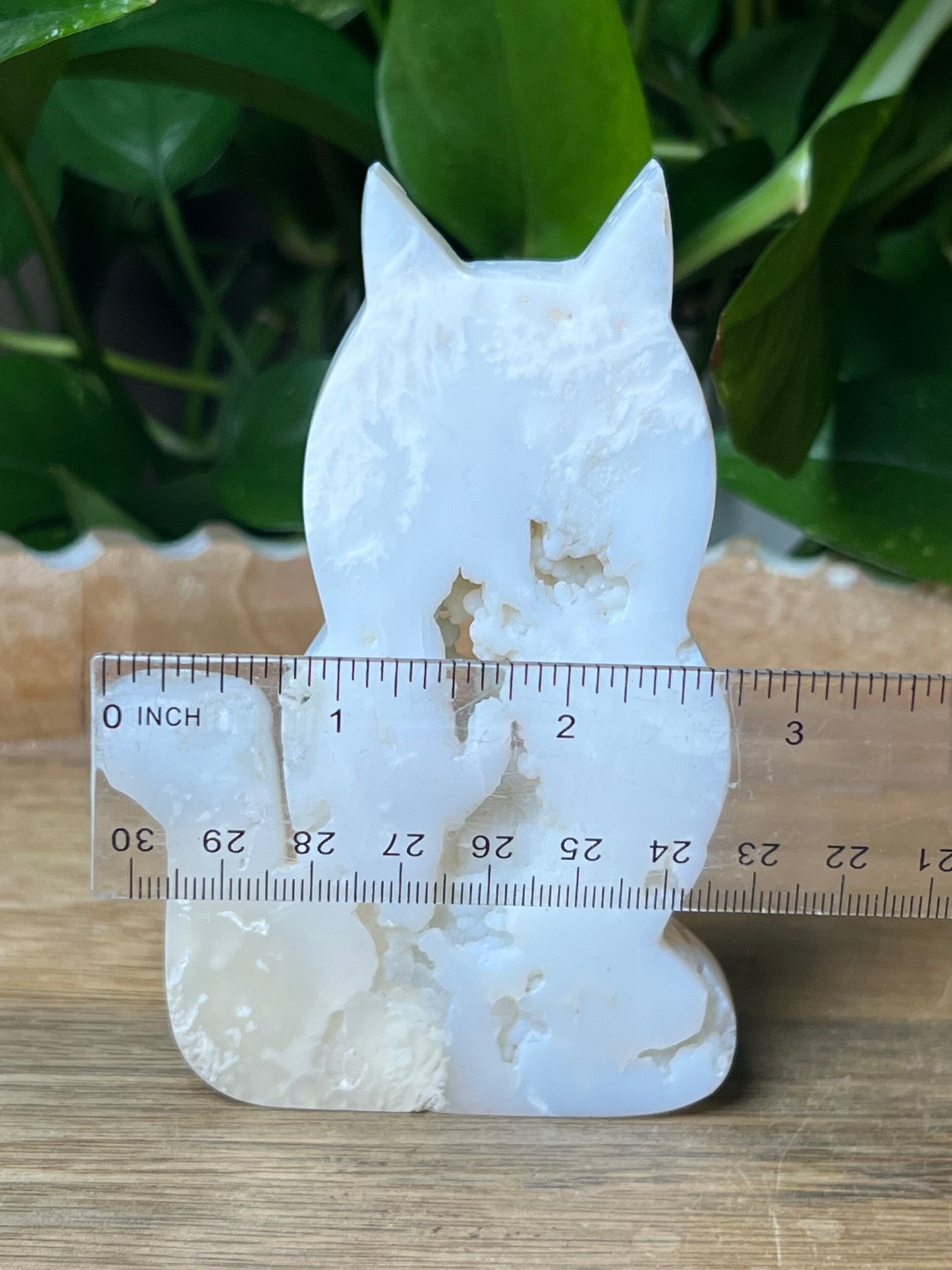White Plume Agate Cat
