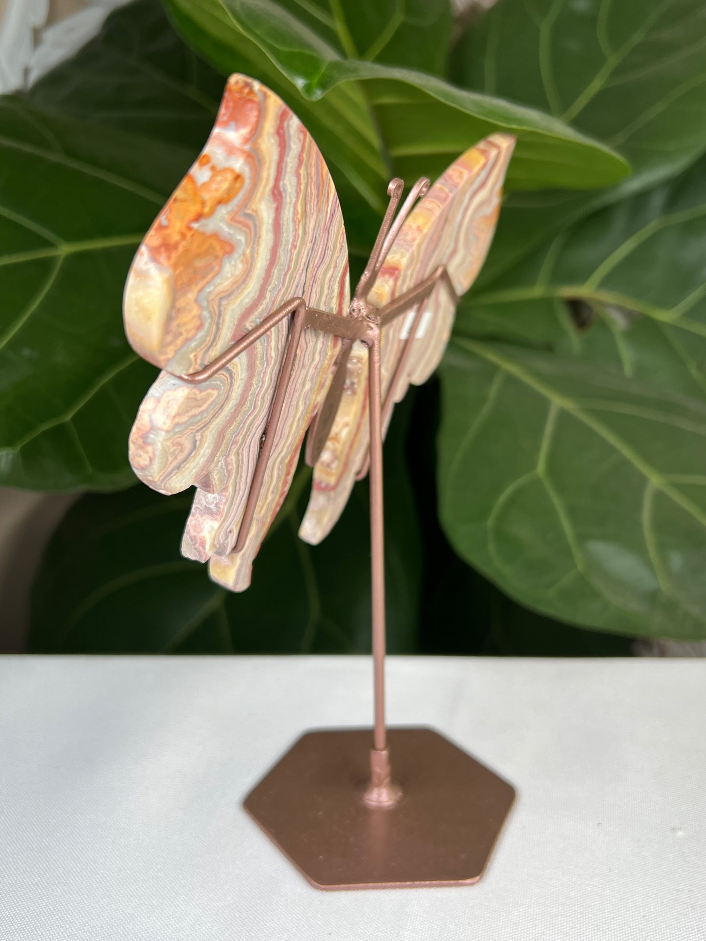 Crazy Lace Agate Wings