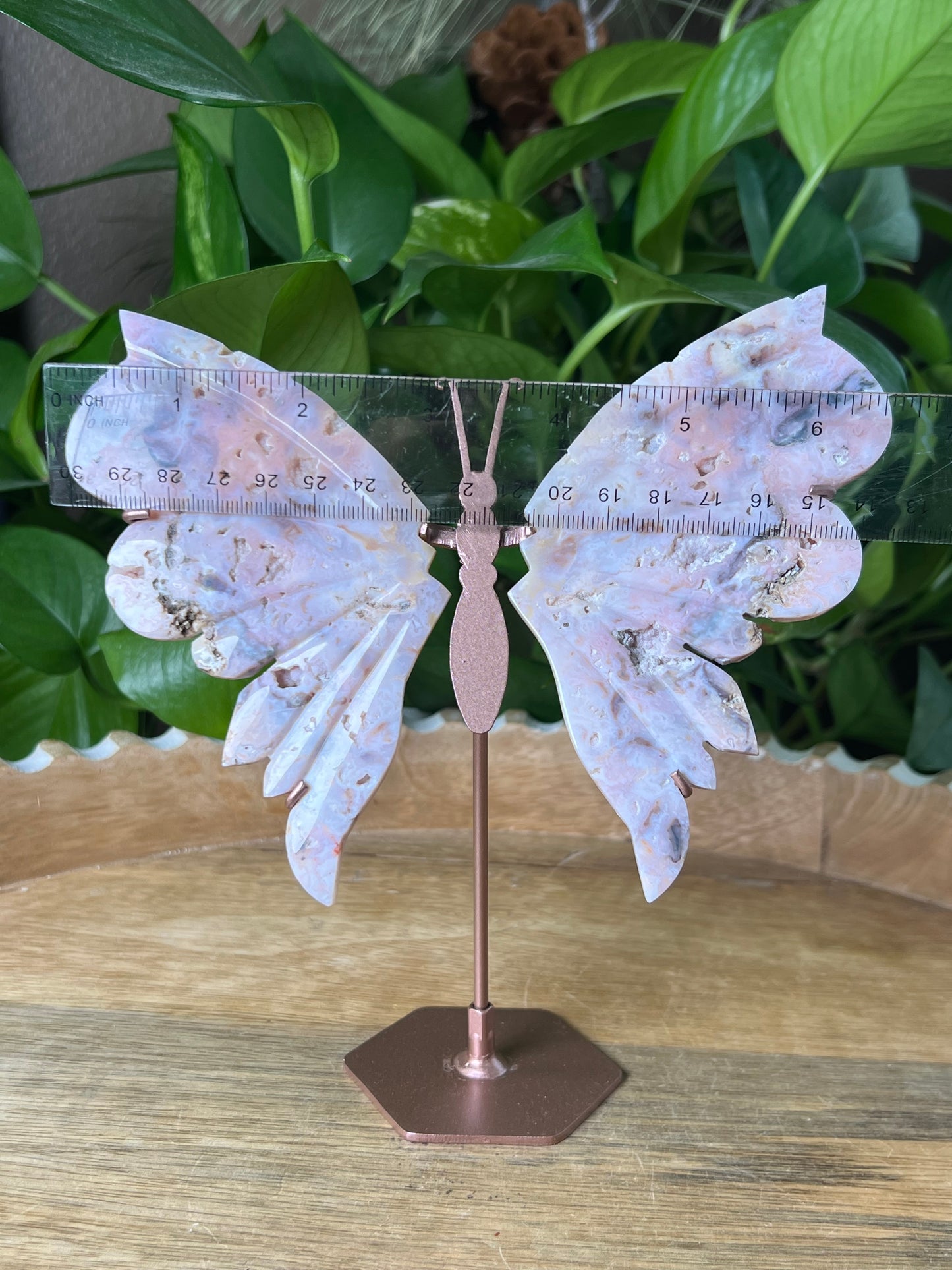 Rainbow Plume Agate Wings