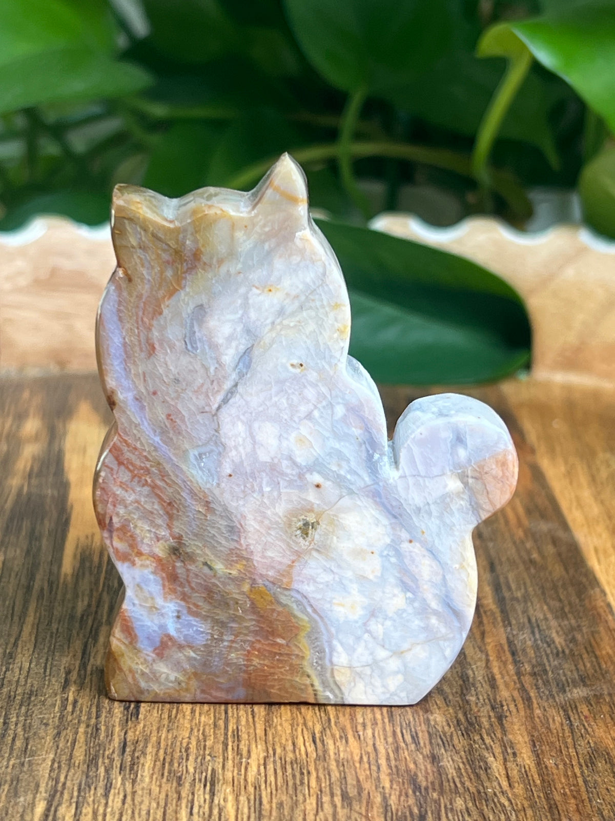River Jasper Cat: PE