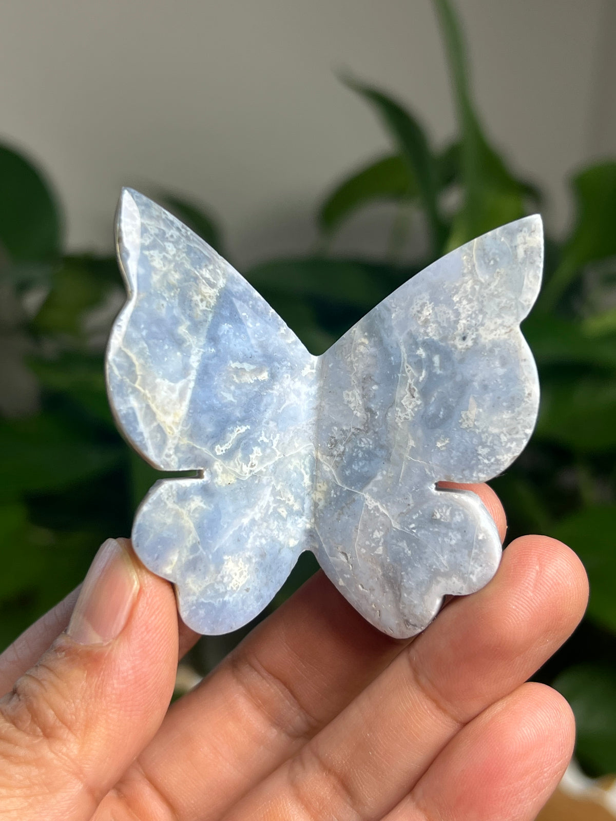 Blue Plume Agate 3D Butterfly: H