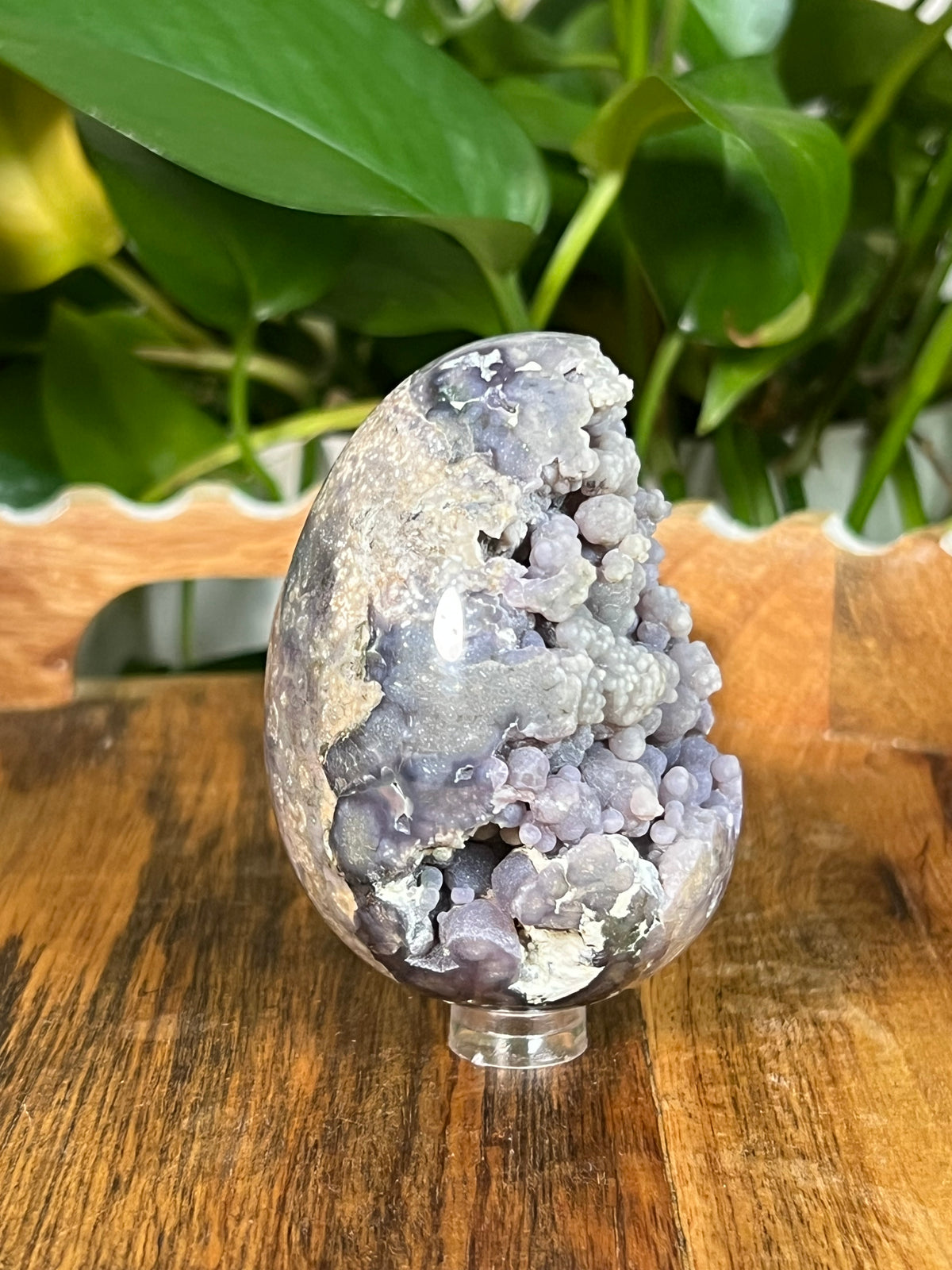 Grape Agate Egg: NA
