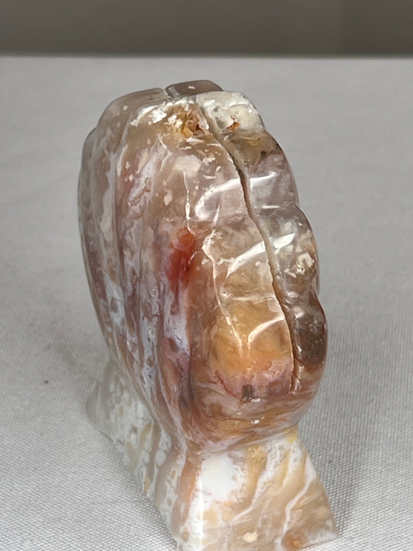 Rainbow Plume Agate Shell