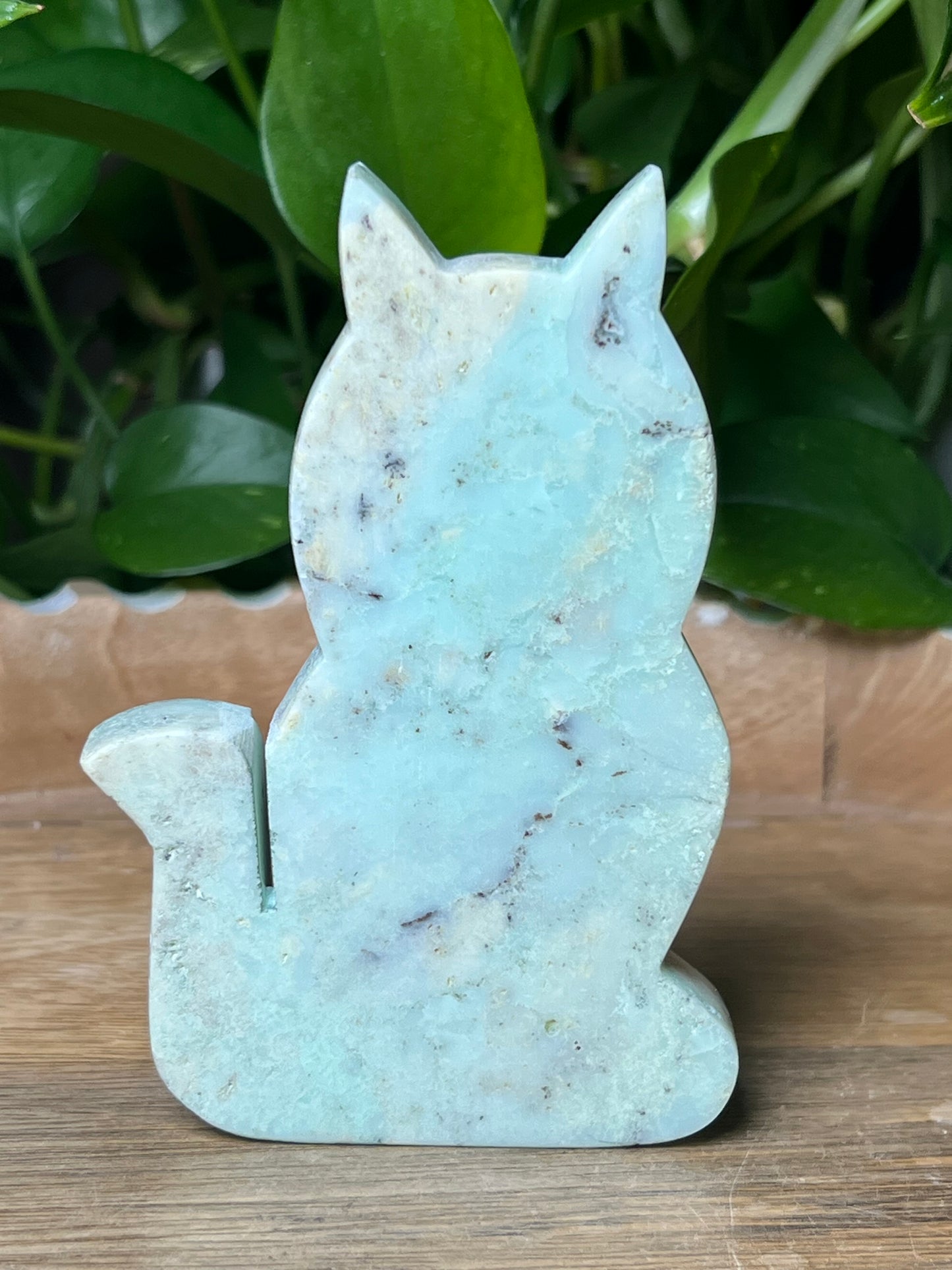 Chrysoprase Cat