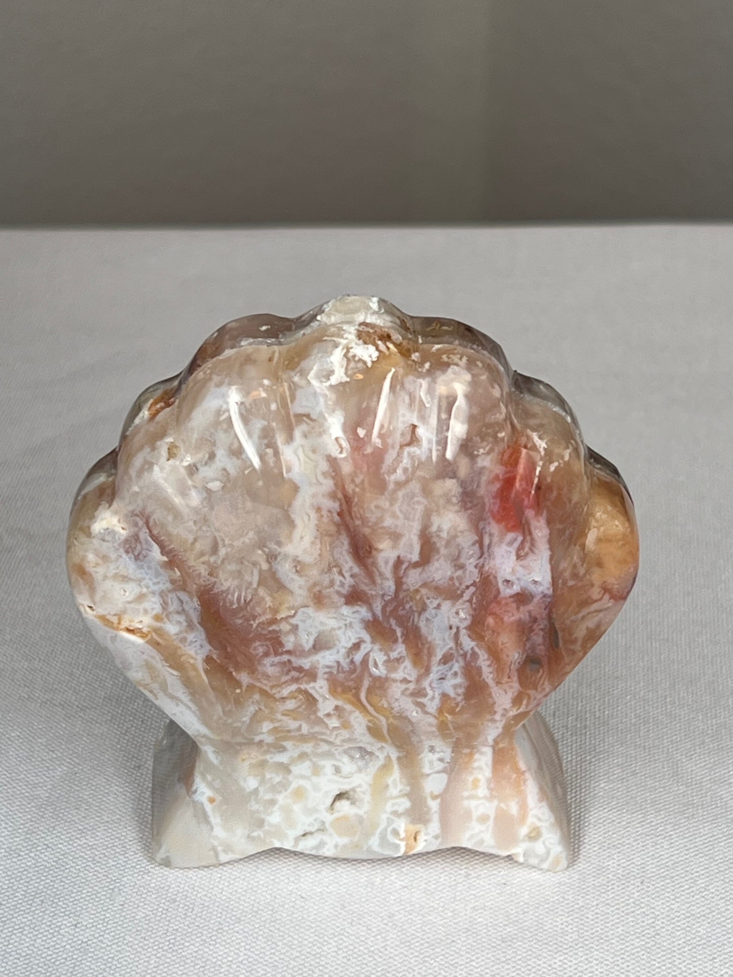 Rainbow Plume Agate Shell