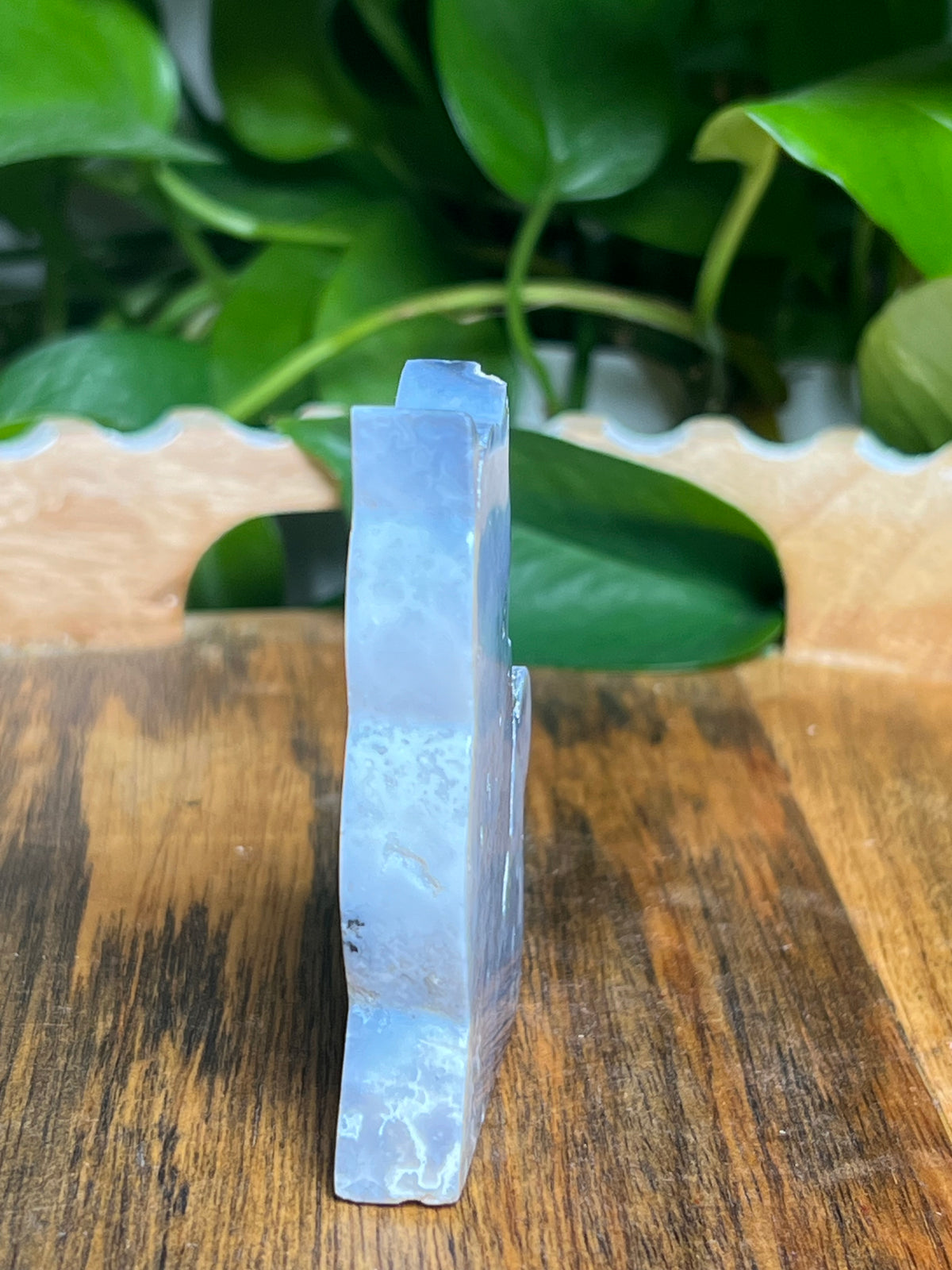 Blue Plume Agate Cat: BF