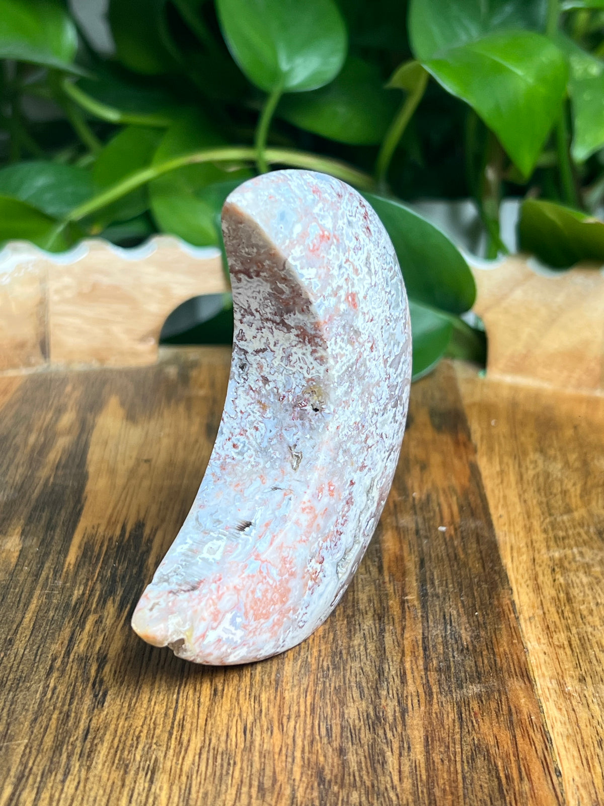 Sumatra Plume Agate Self-Standing Moon: SE