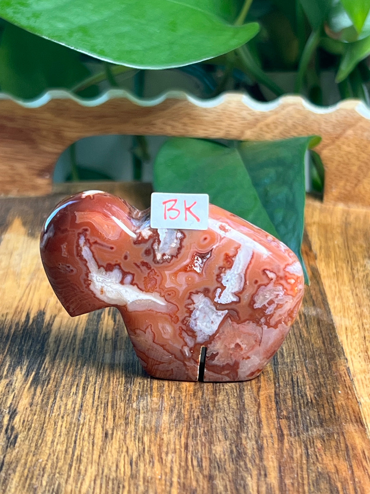Carnelian Mini Buffalos