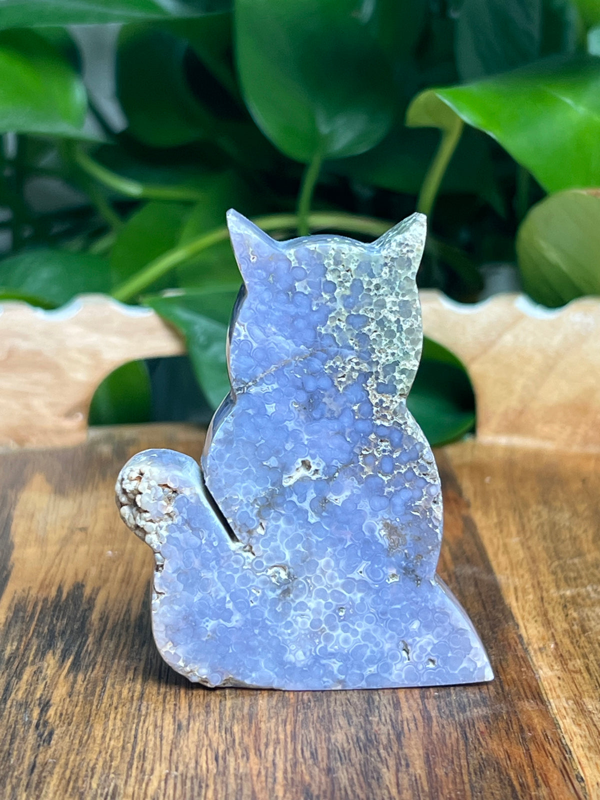 Grape Agate Cat: NV