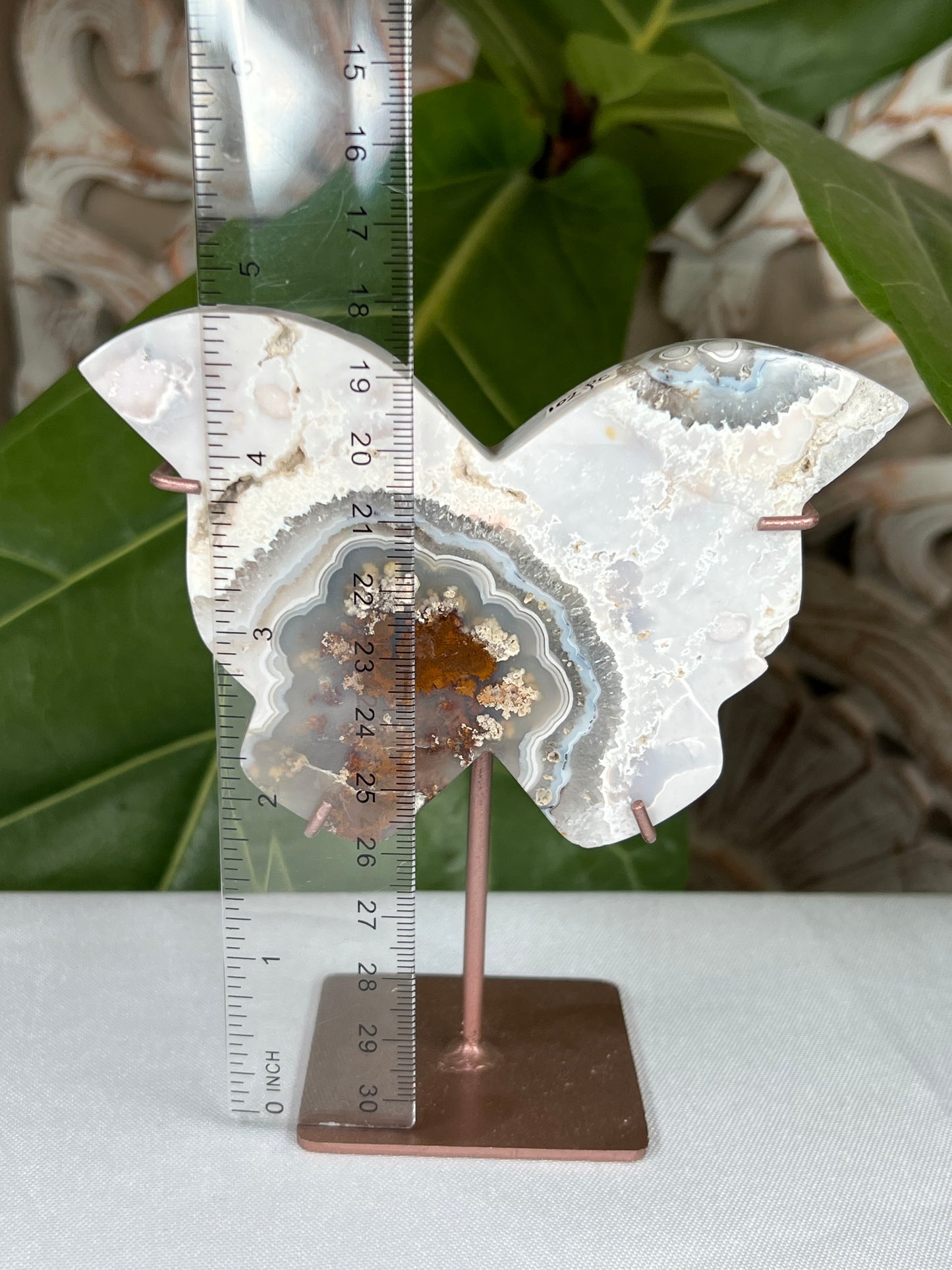 Scenic Moss Agate Butterfly