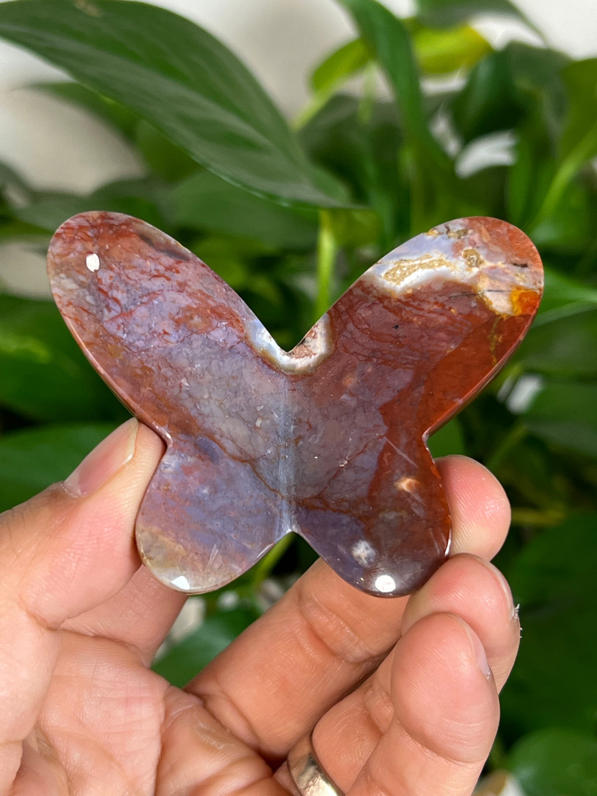 River Jasper 3D Butterflies
