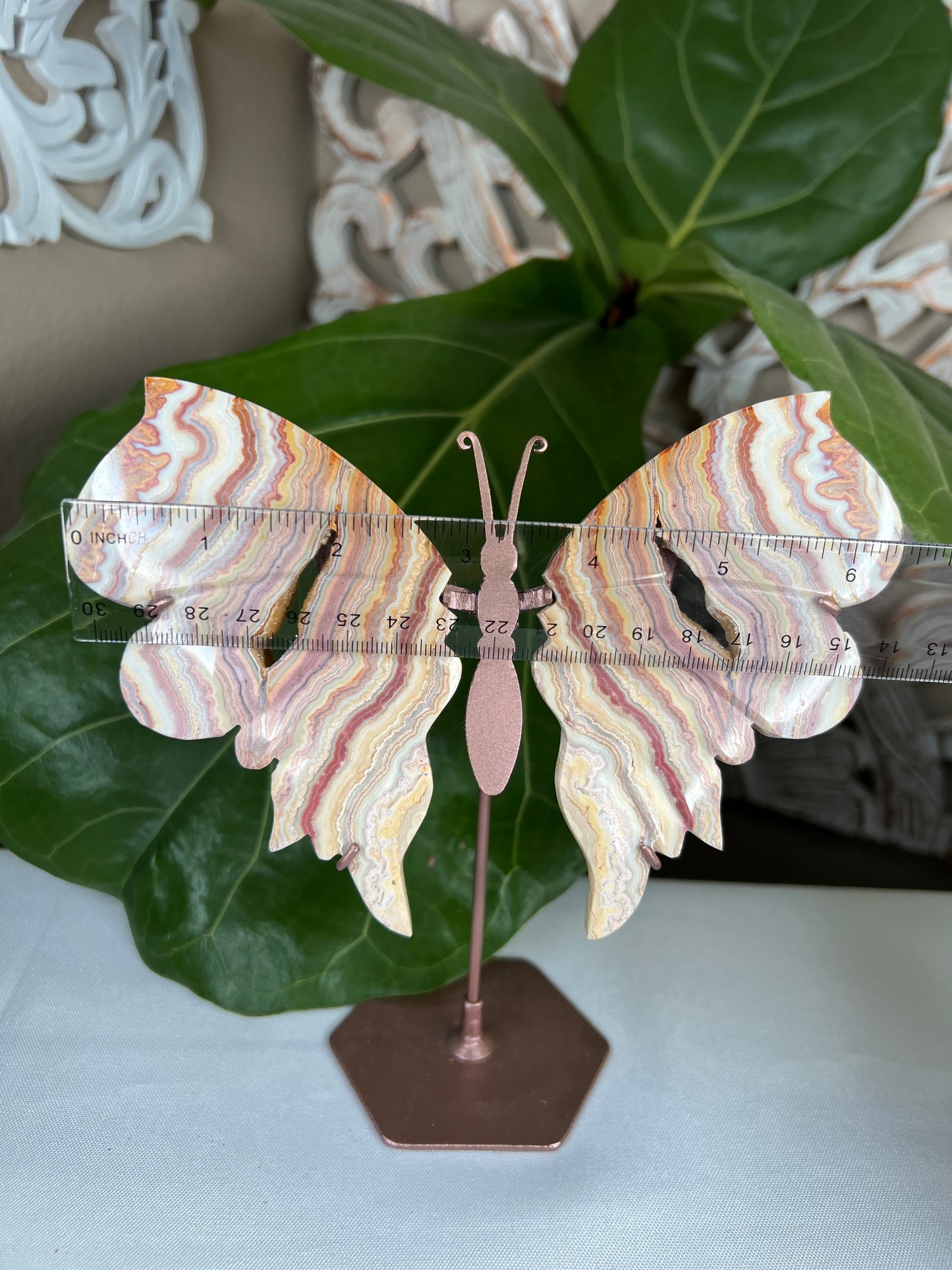 Crazy Lace Agate Wings