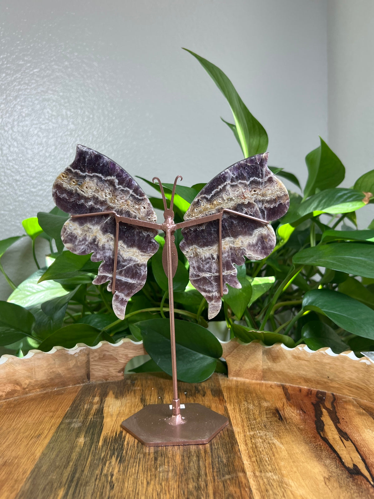 Indonesian Amethyst Wings : SR