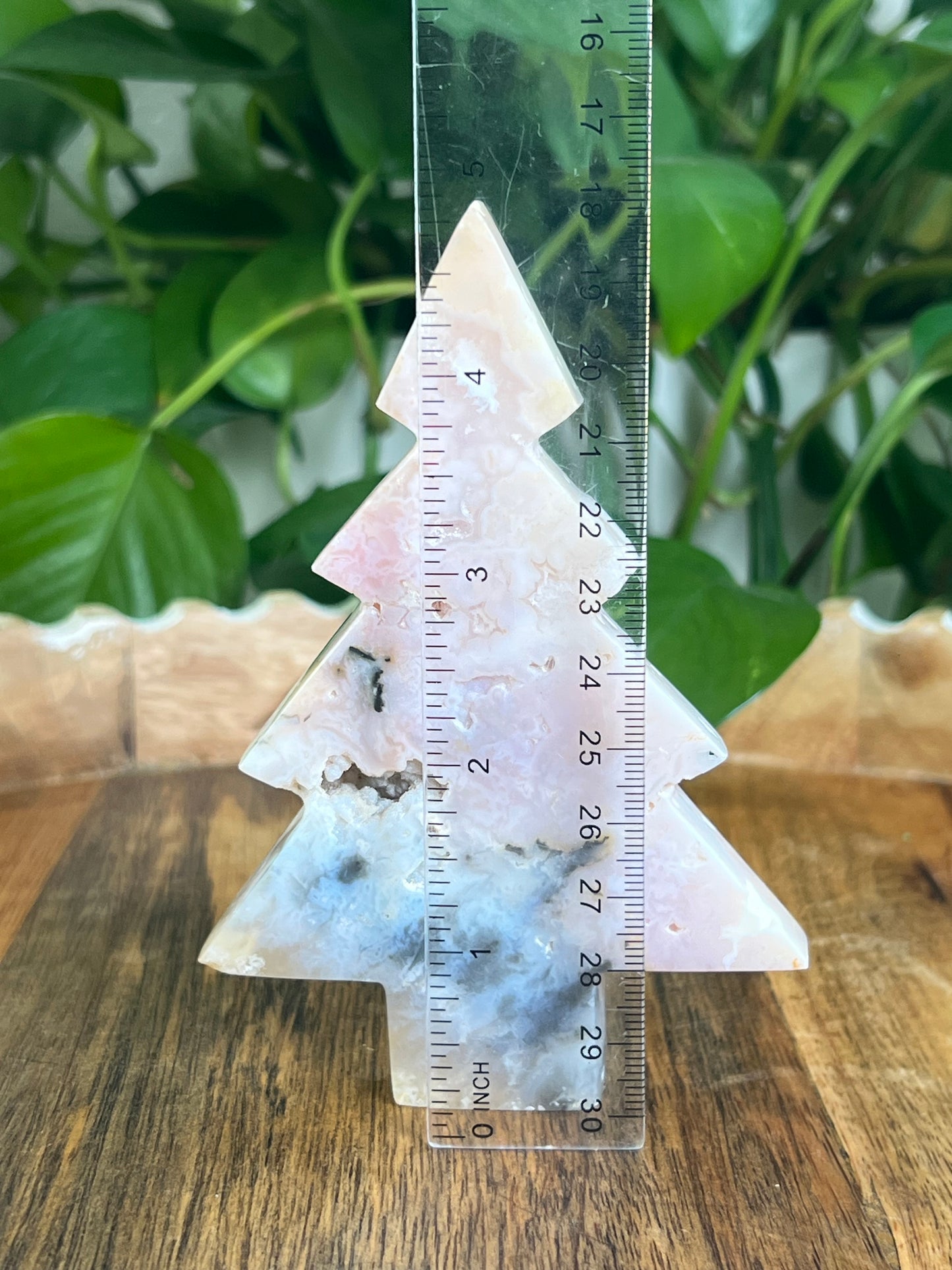 Rainbow Plume Agate Tree: DC