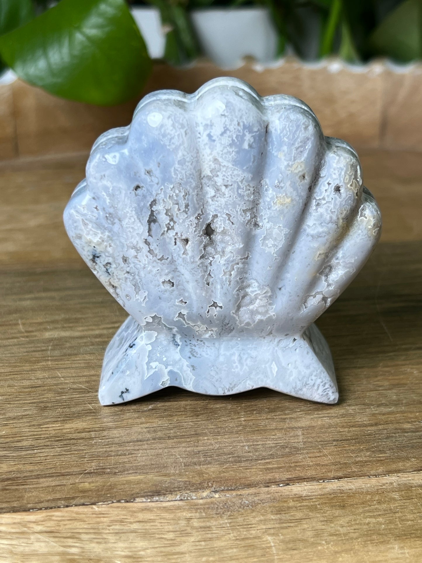 Blue Plume Agate Shell