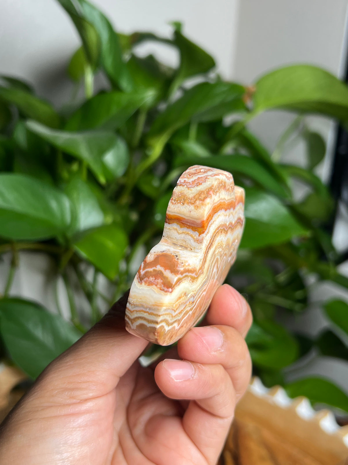 Crazy Lace Agate Cloud: NX
